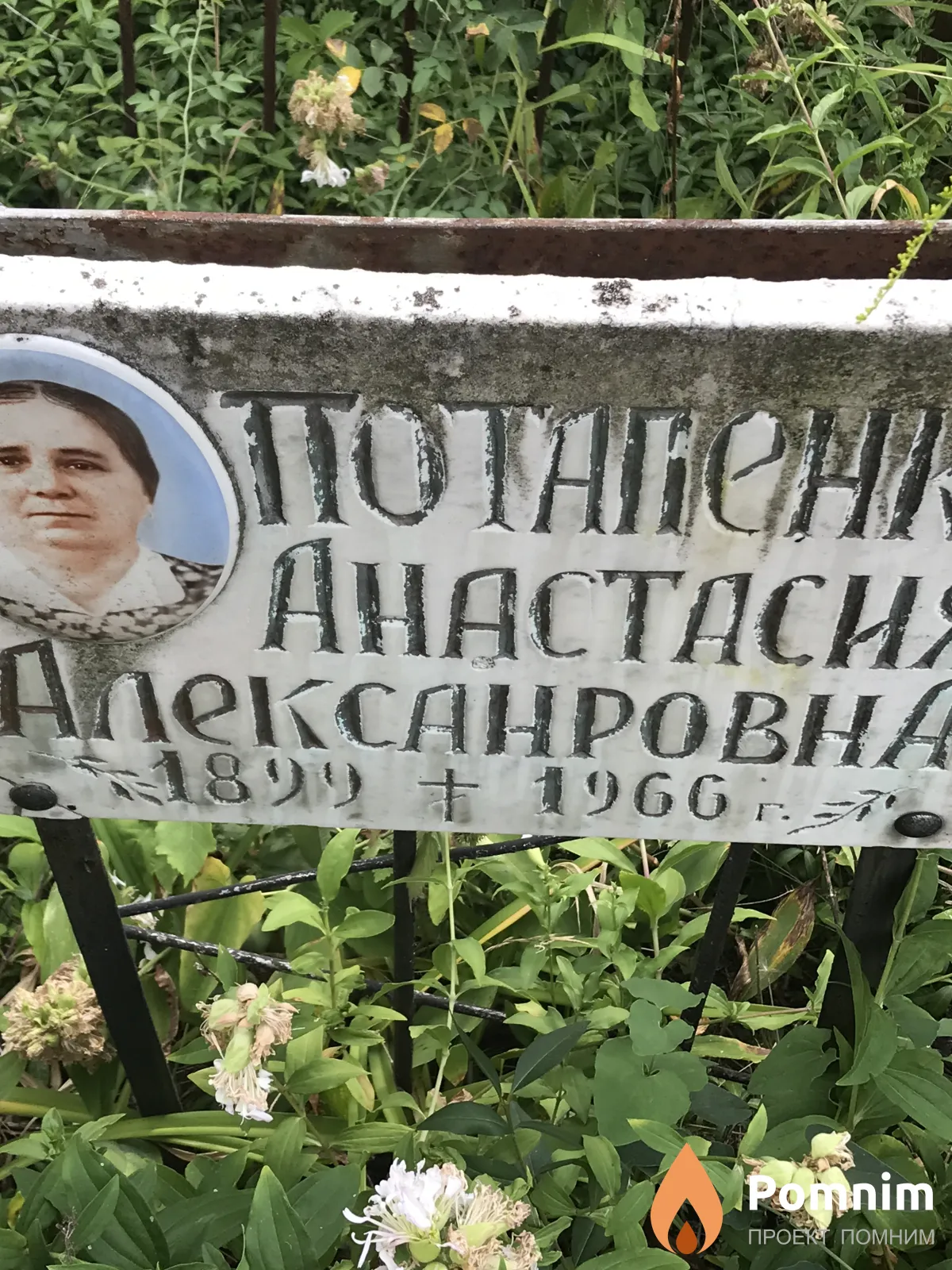 Потапенко Анастасия Aeіксанровна