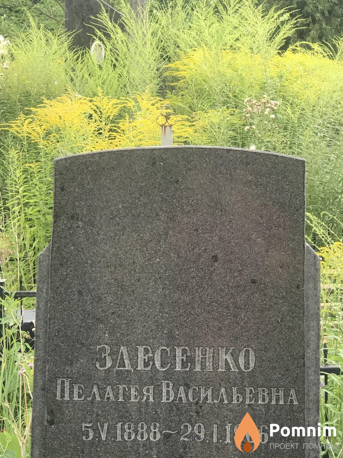 Здесенко Пелагея Васильевна