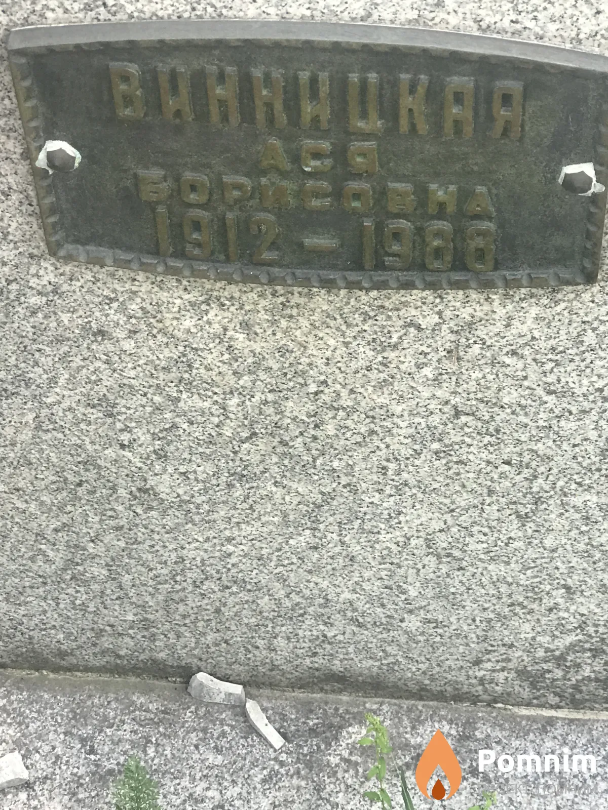 Виницкая Ася Борисовна