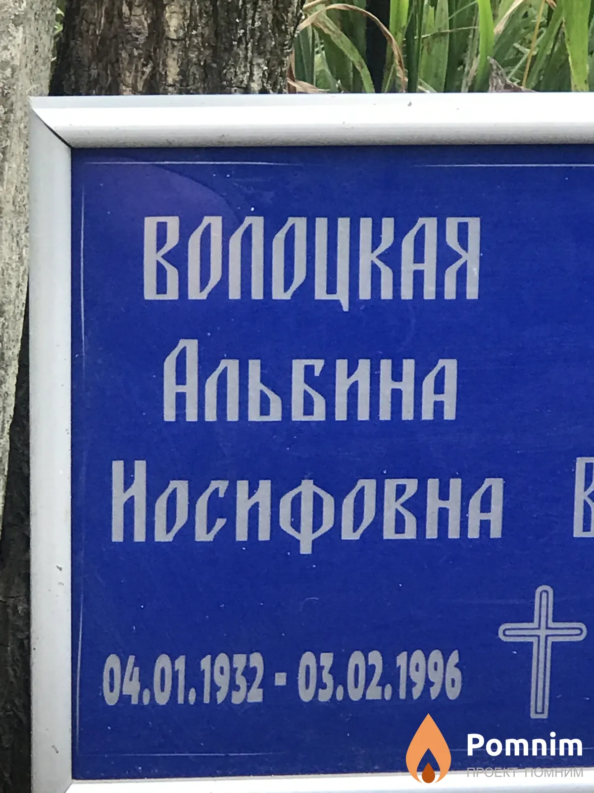 Волоцкая Альбина Носнфовна