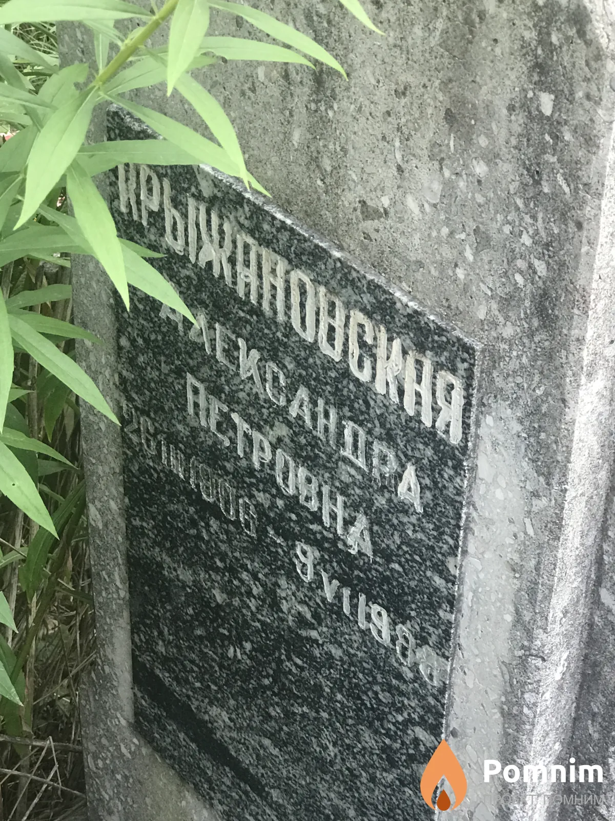 Крыжановский Александра Петровна