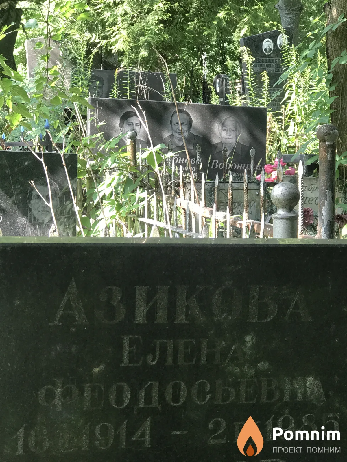 Азикова Елена Феодосевна