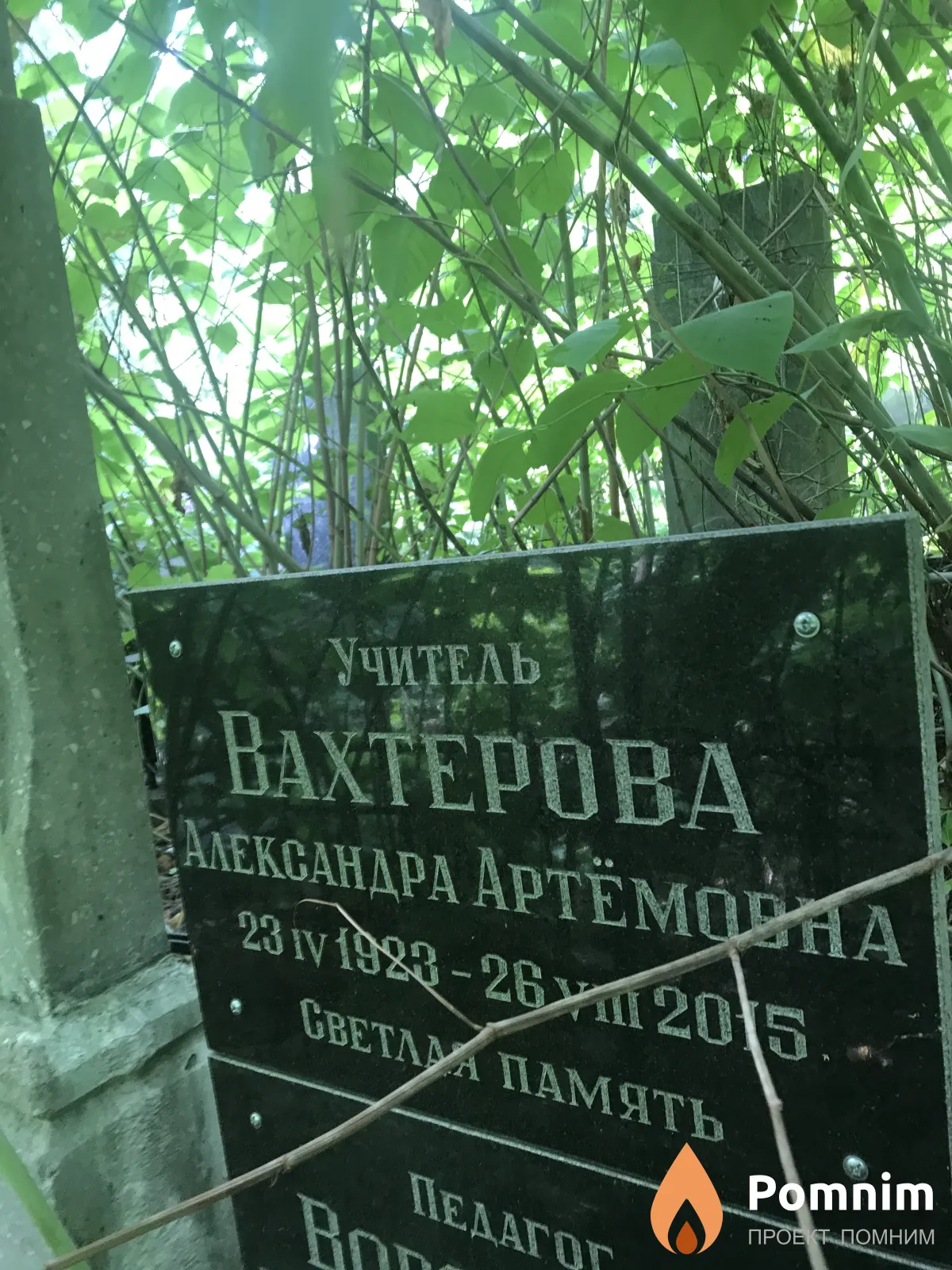Вахтерова Александра Артёмона