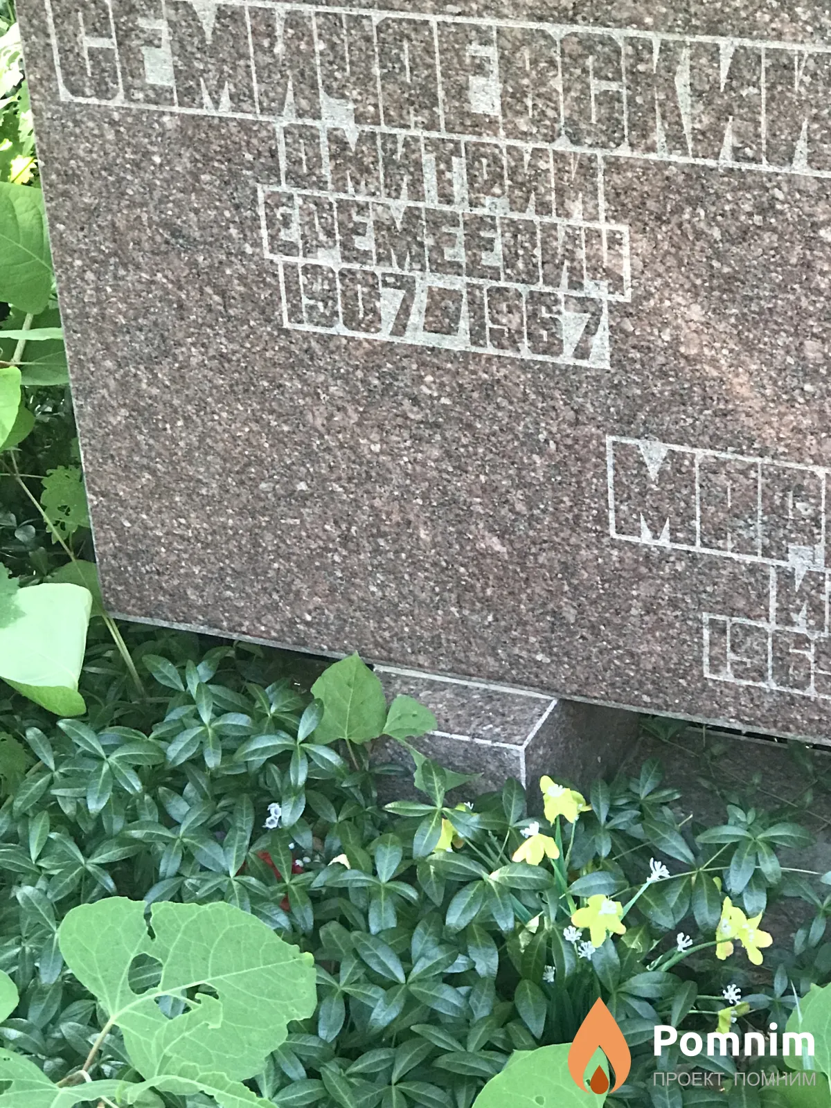 Семечаевский Дмитрий Семёнович