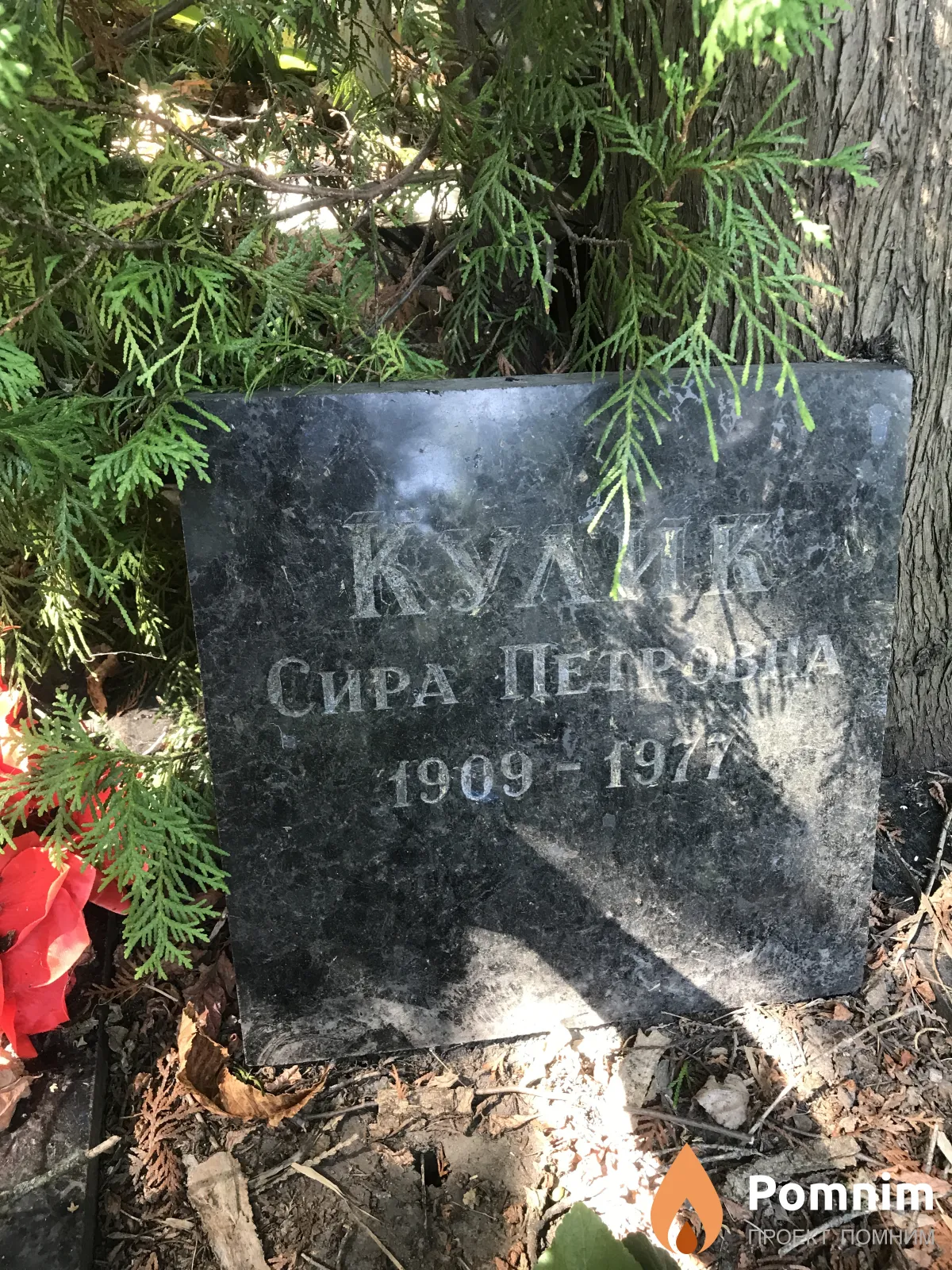 Кулик Сира Петровна