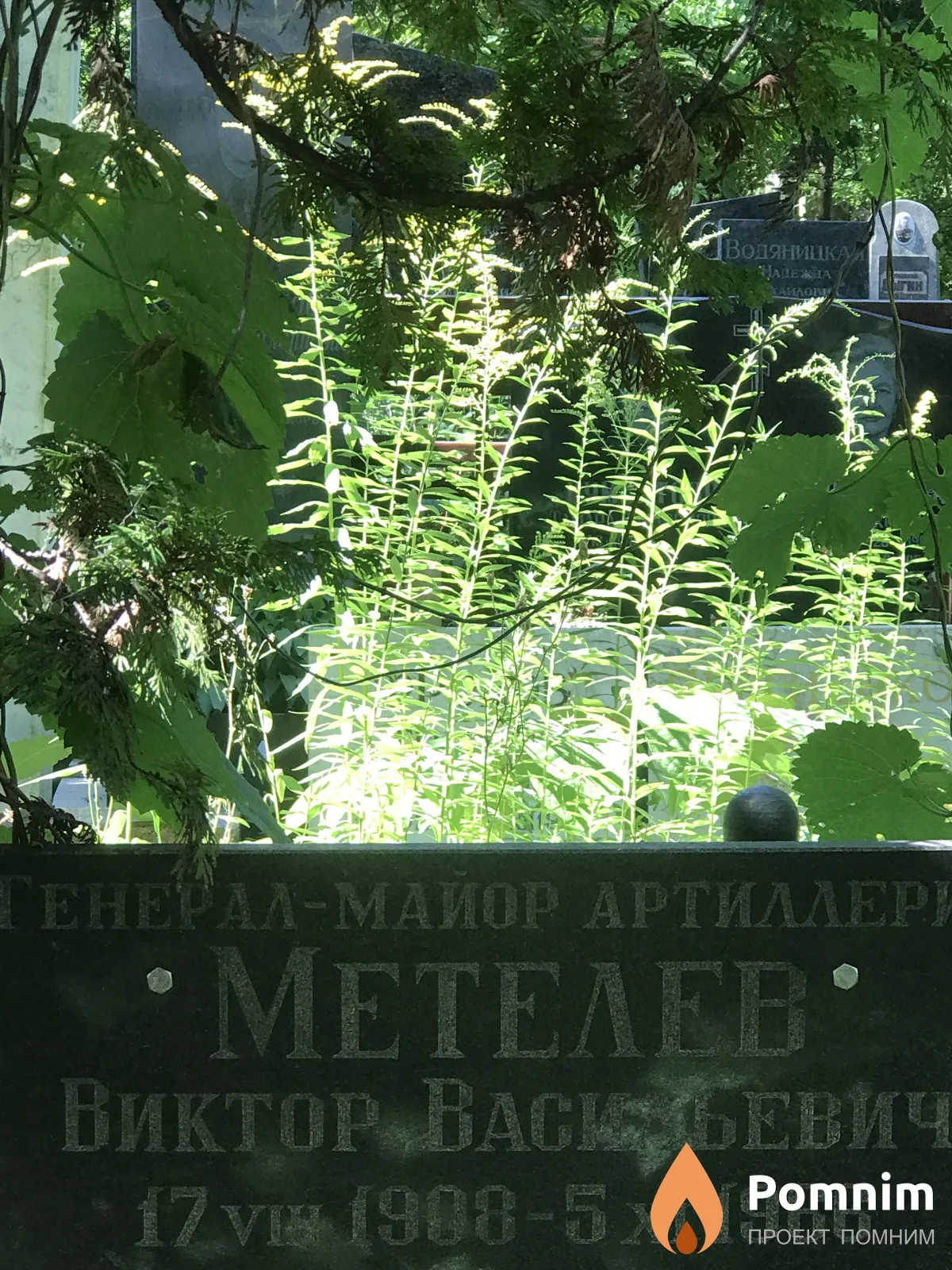 Метелев Виктор Васильевич