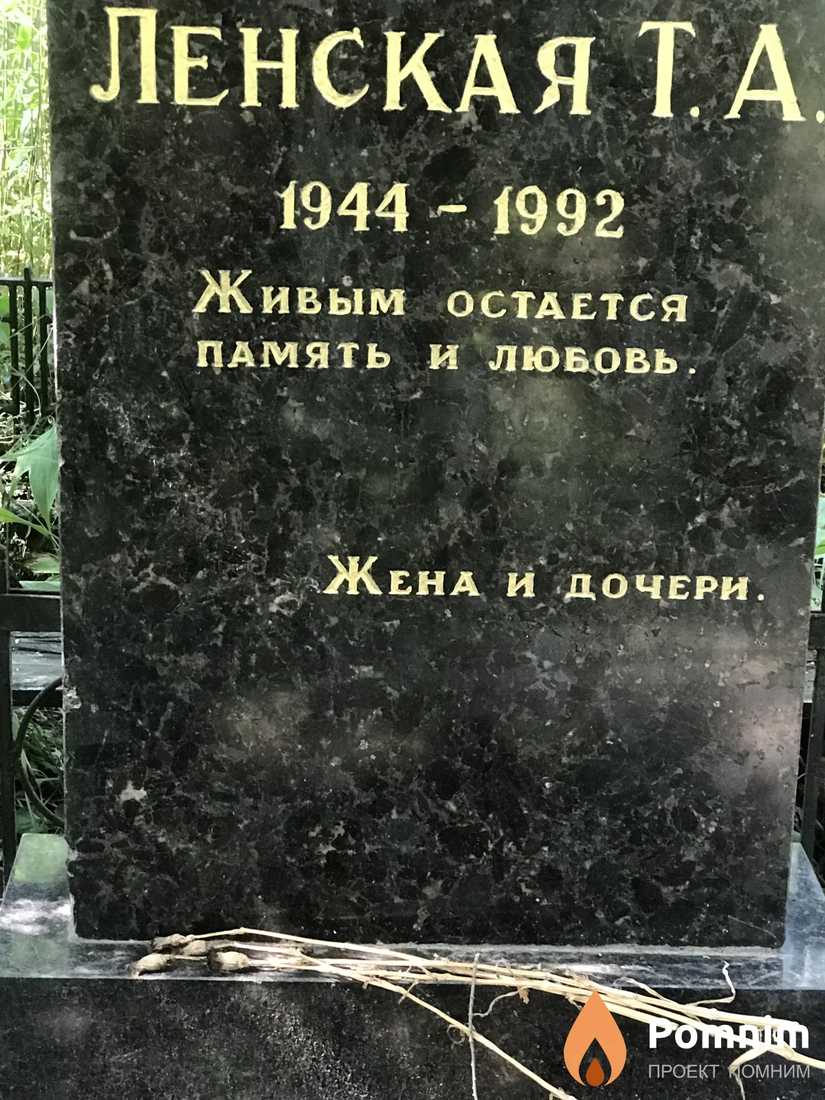 Ленская Т. А