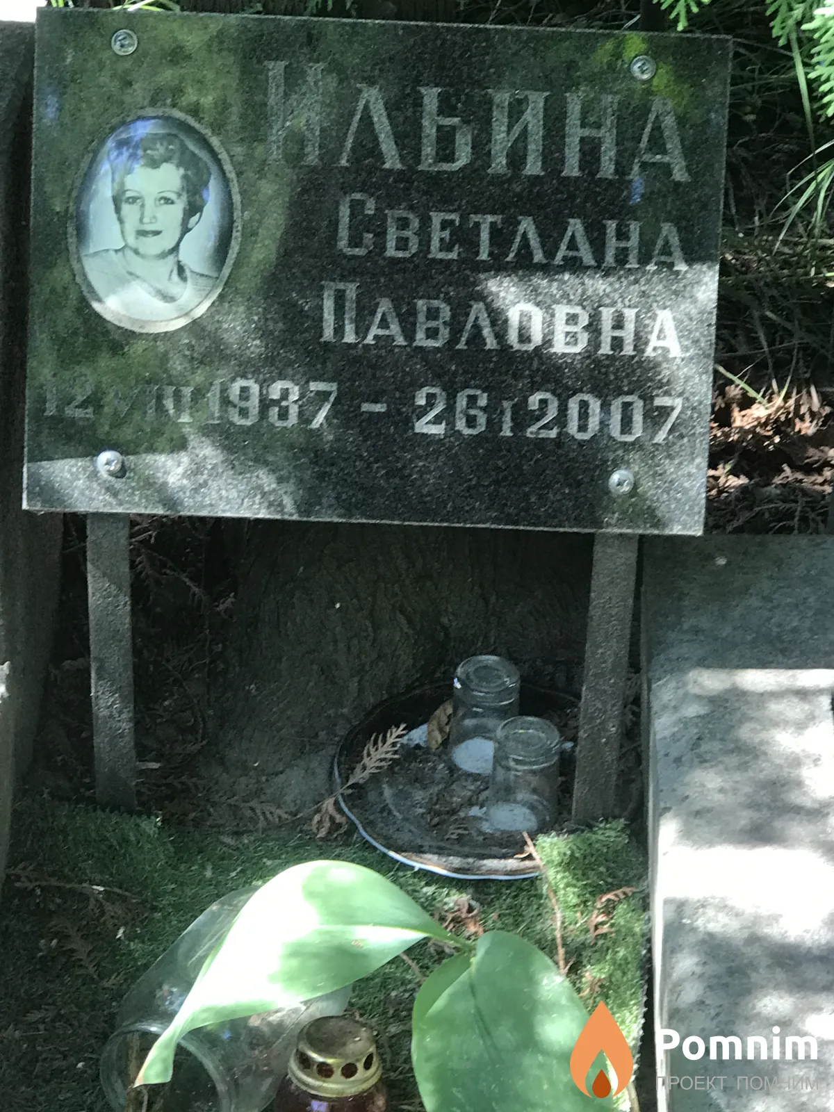 Ильина Светлана Павловна