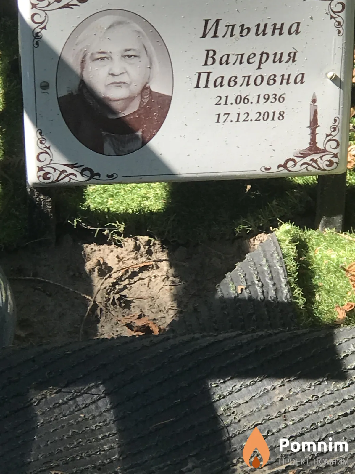 Ильина Валерия Павловна