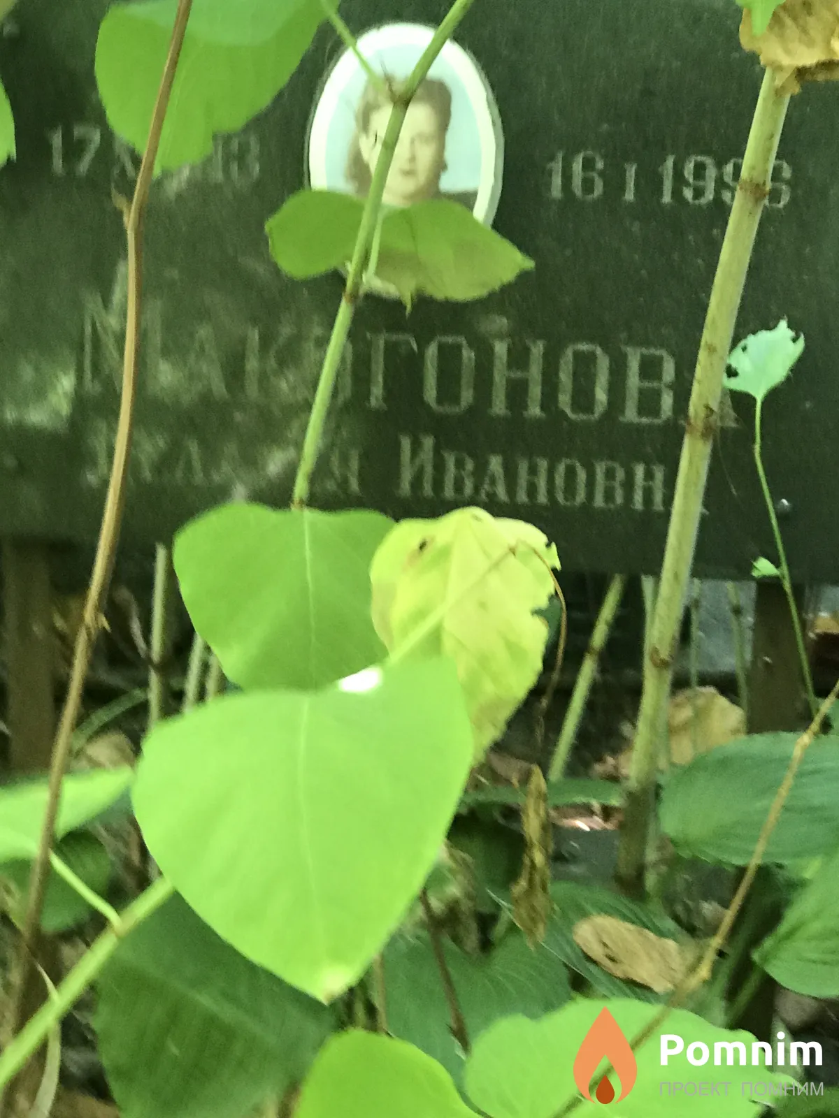 Макогонова Пелагея Ивановна