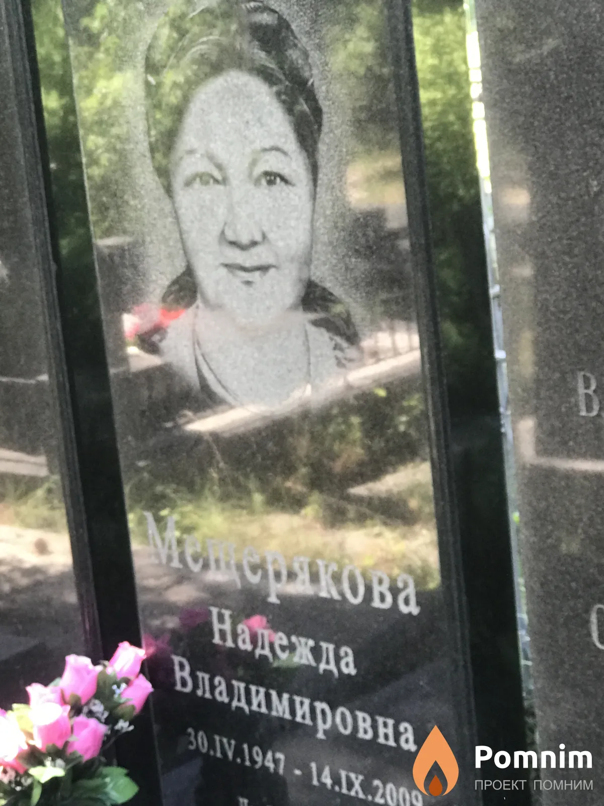 Мещяркова Надежда Владимировна