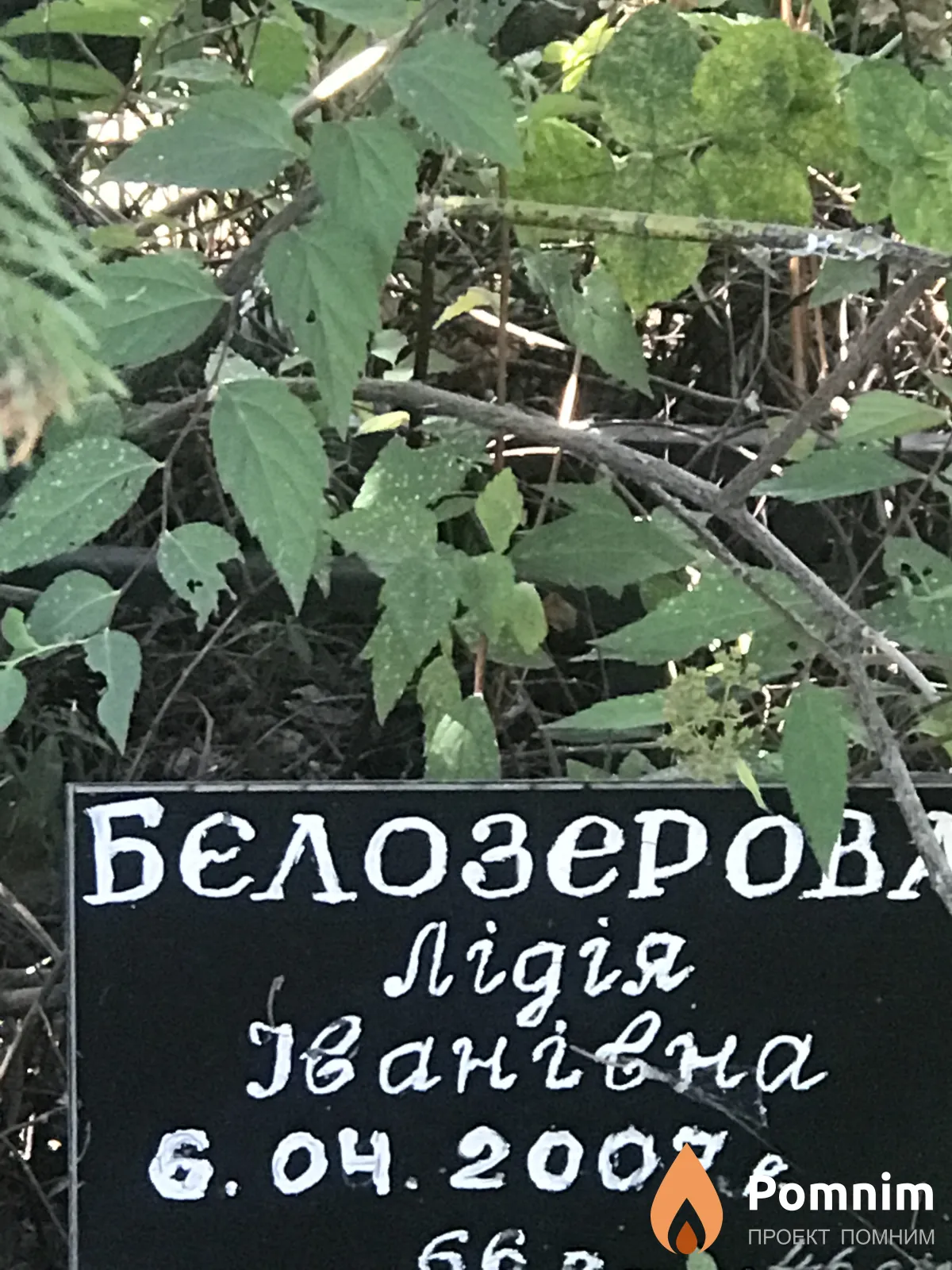 Бєлозеров Лидия Ивановна