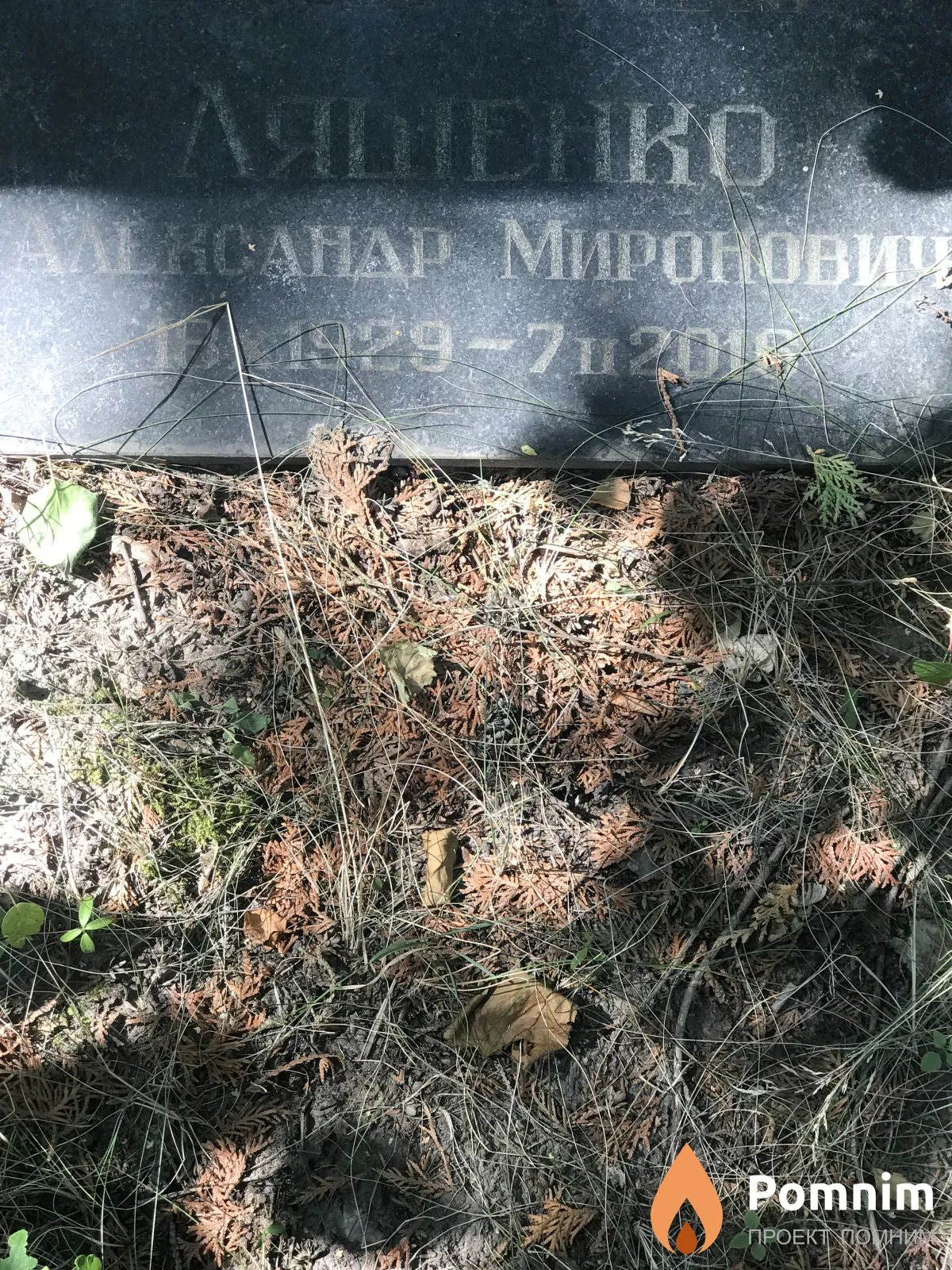 Ляшенко Александр Миронович