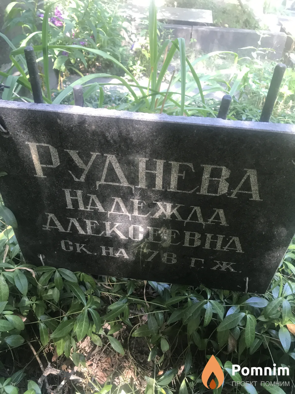 Руднева Надежда Алексеевна