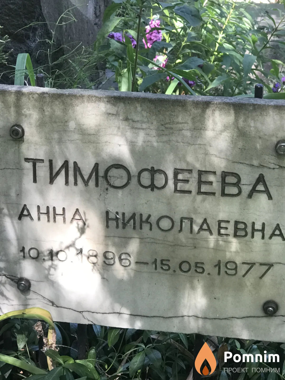 Тимофеева Анна Николаевна