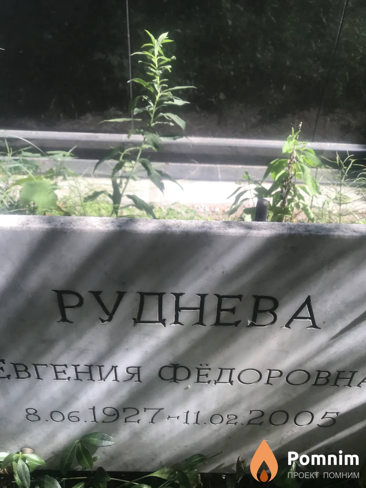 Руднева Евгения Фёдоровна