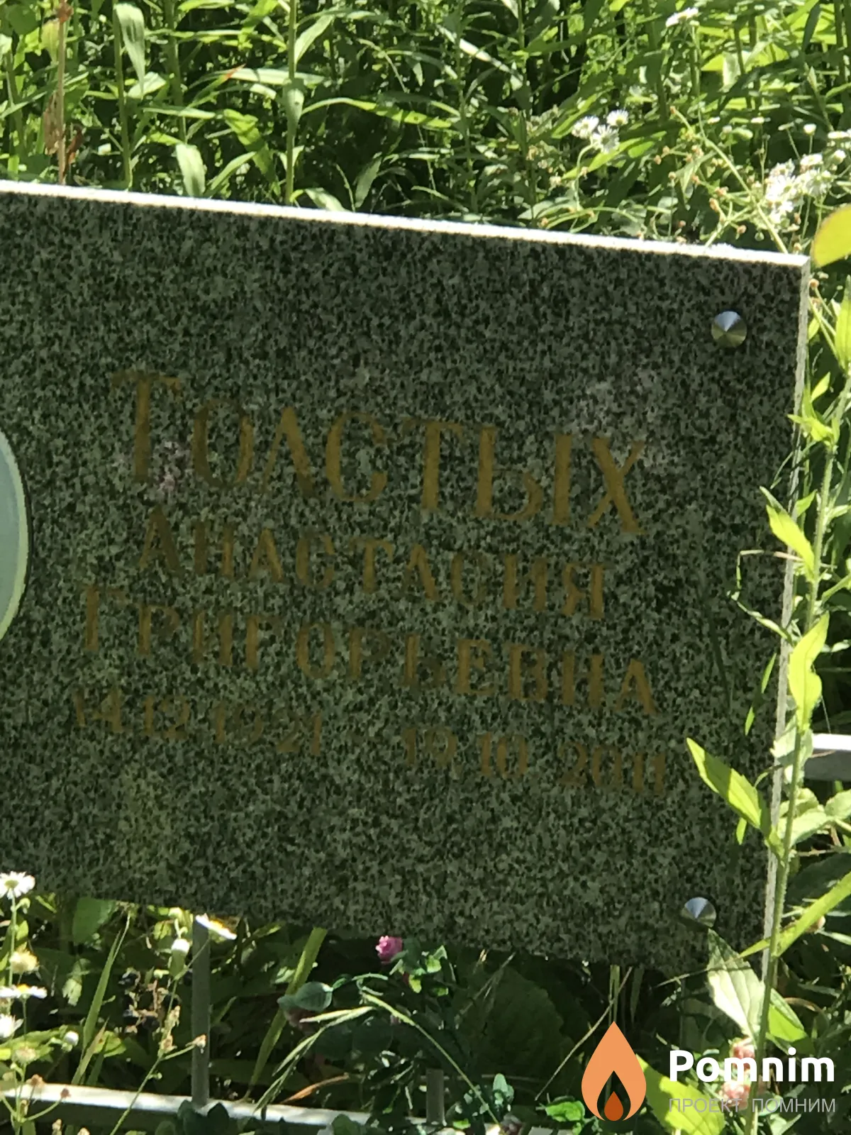 Толстых Анастасия Григорьевна