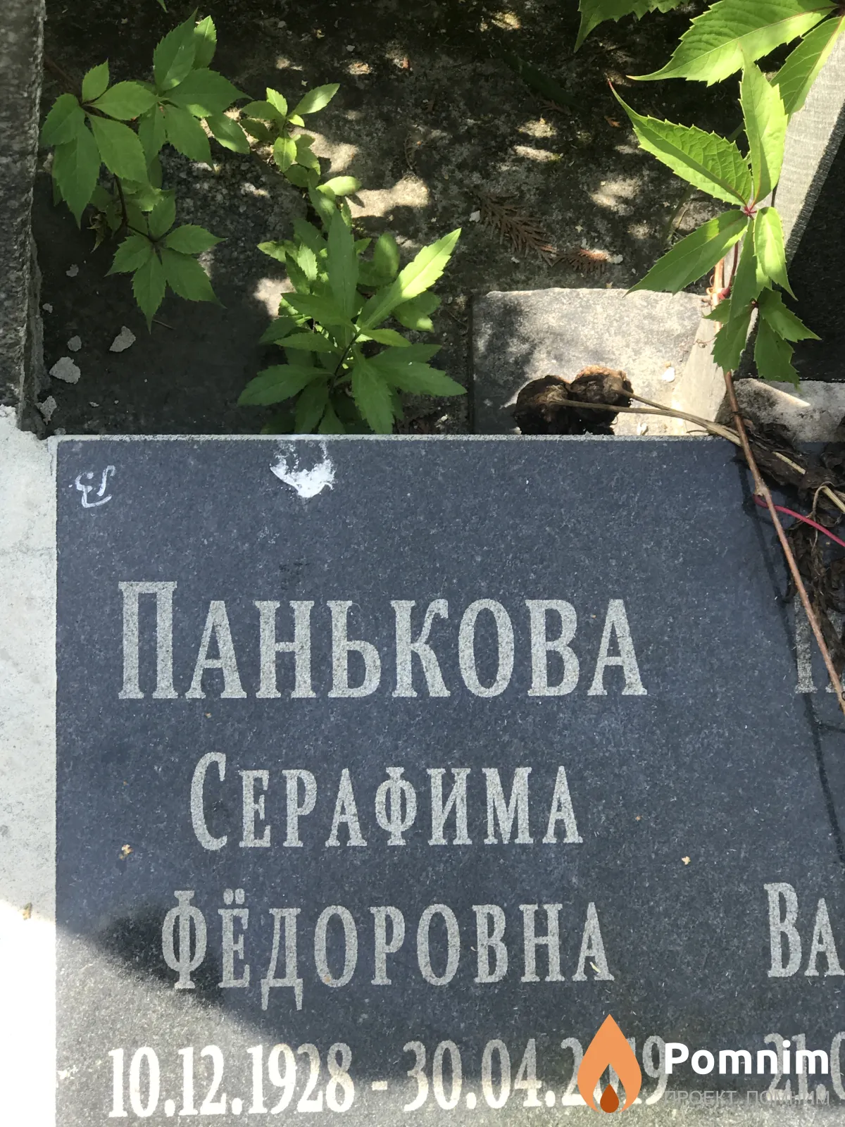 Панькова Серафима Федоровна