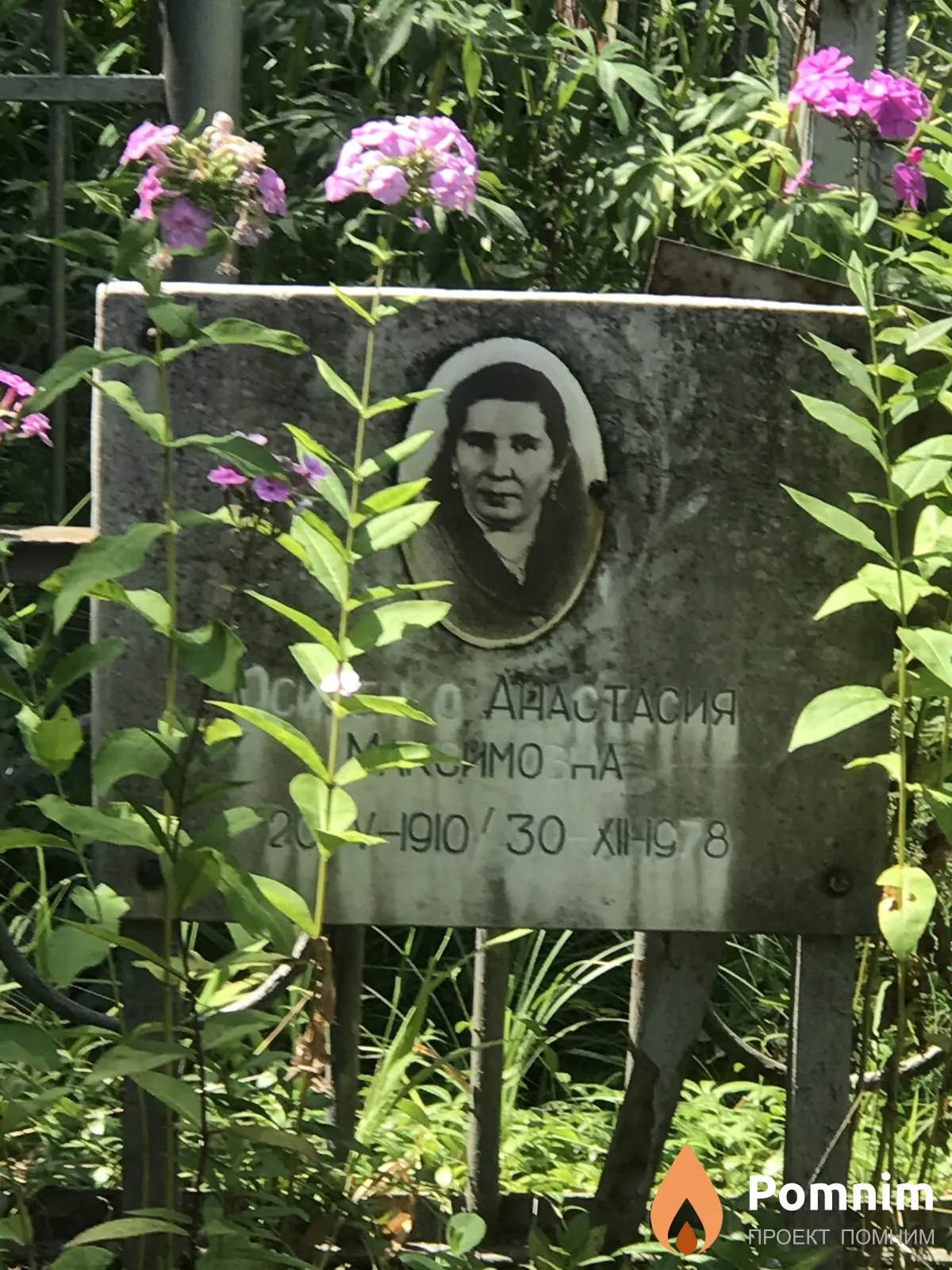Осипенко Анастасия Максимовна