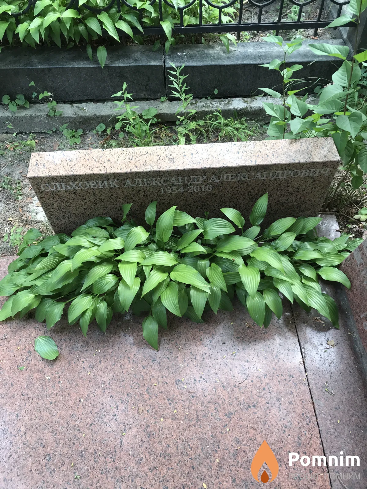 Ольховик Александр Алексеевич