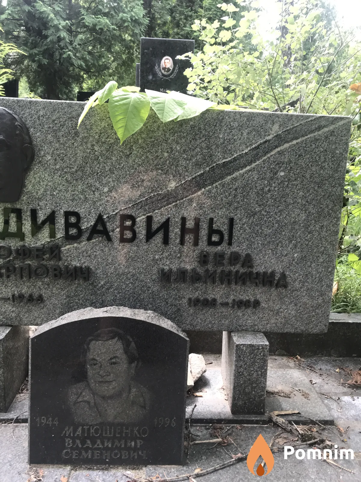 Дивавины Вера Ильична