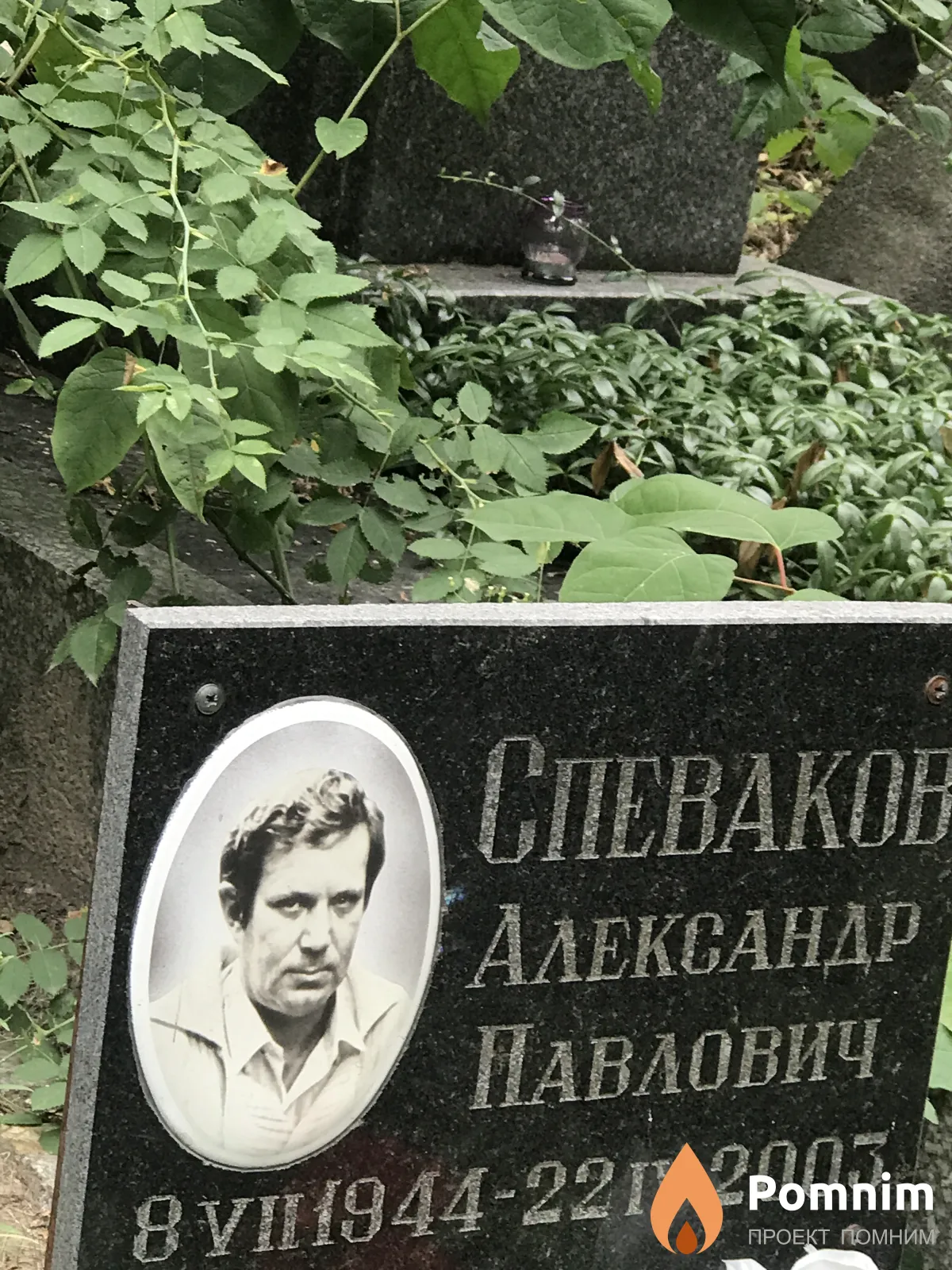 Спеваков Александр Павлович