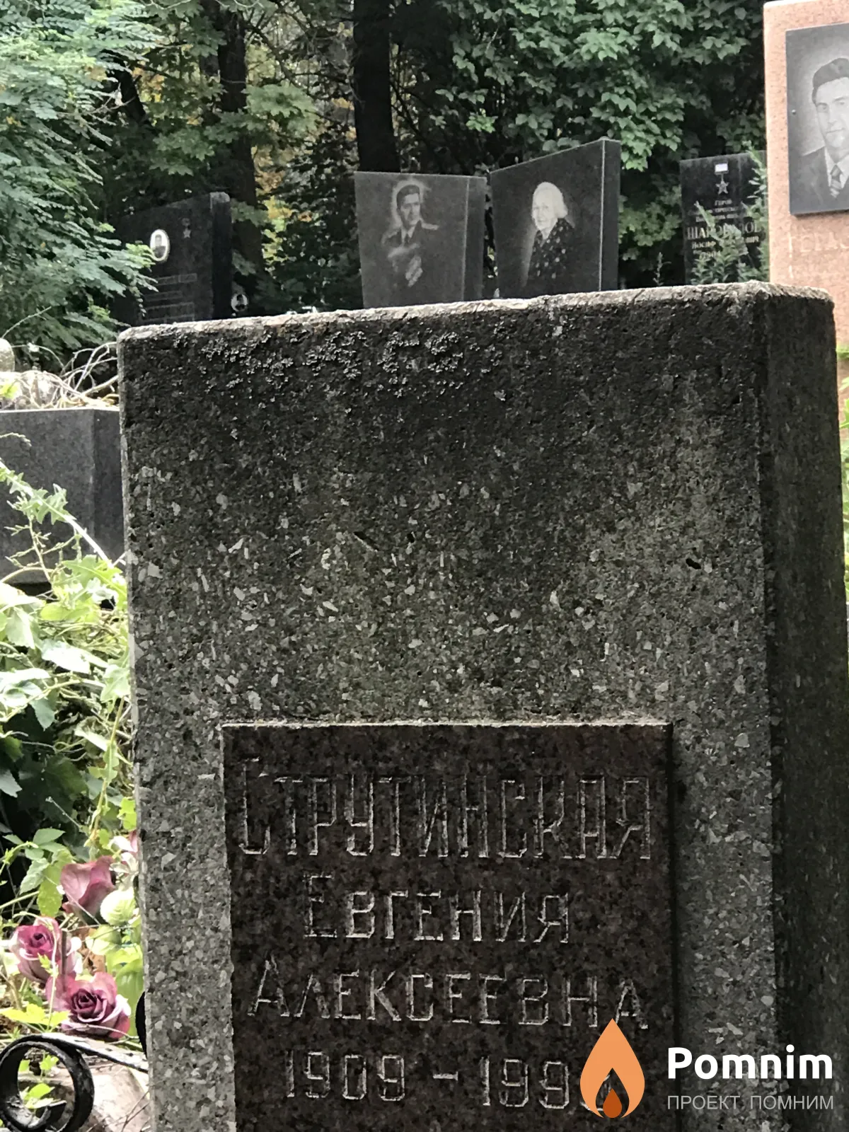 Струтинская Евгения Алексеевна