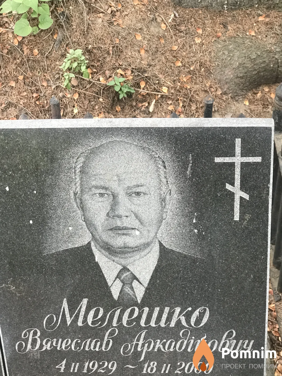 Мелешко Вячеслав Аркадьевич