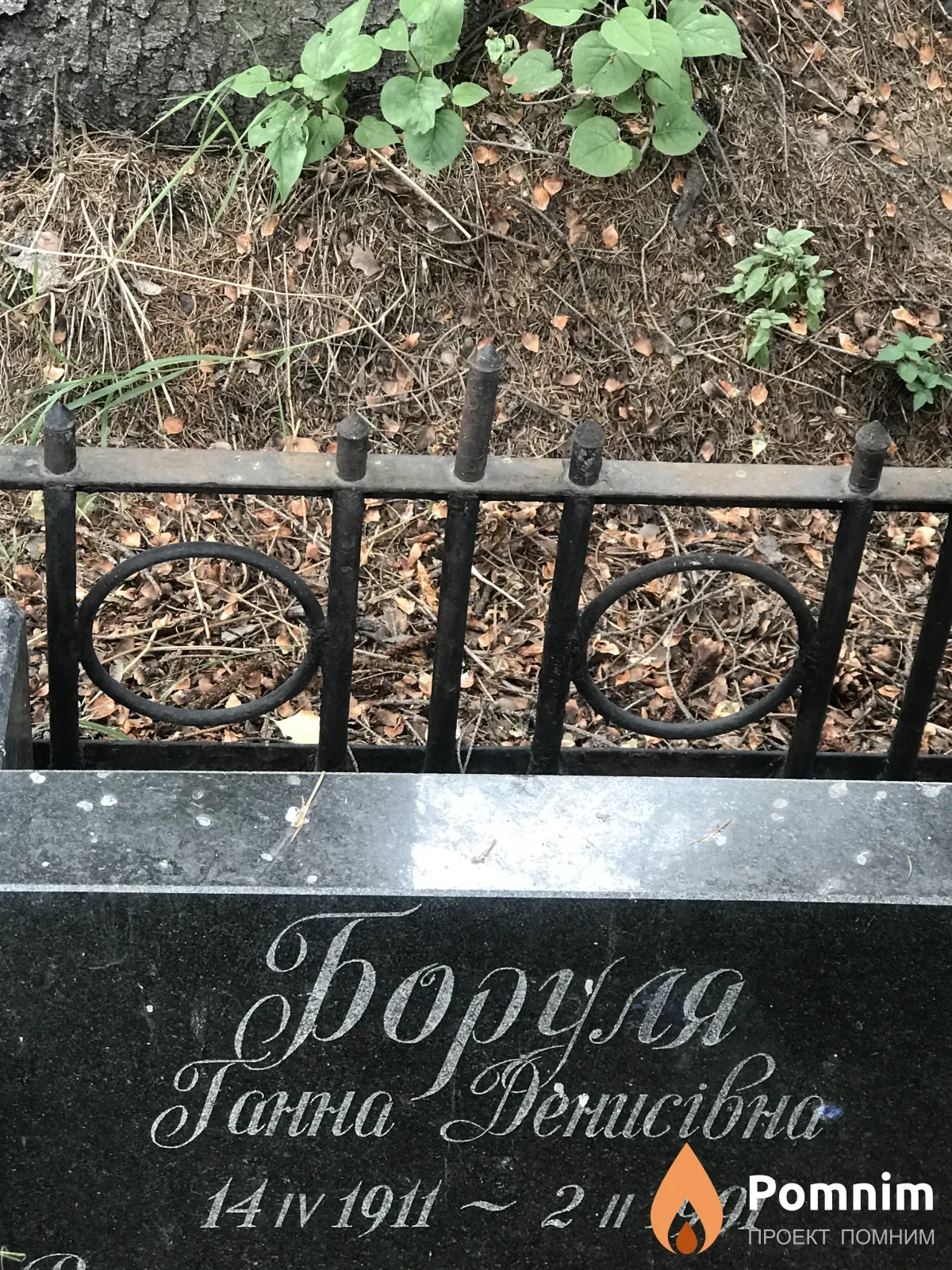 Боруля Ганна Денисовна