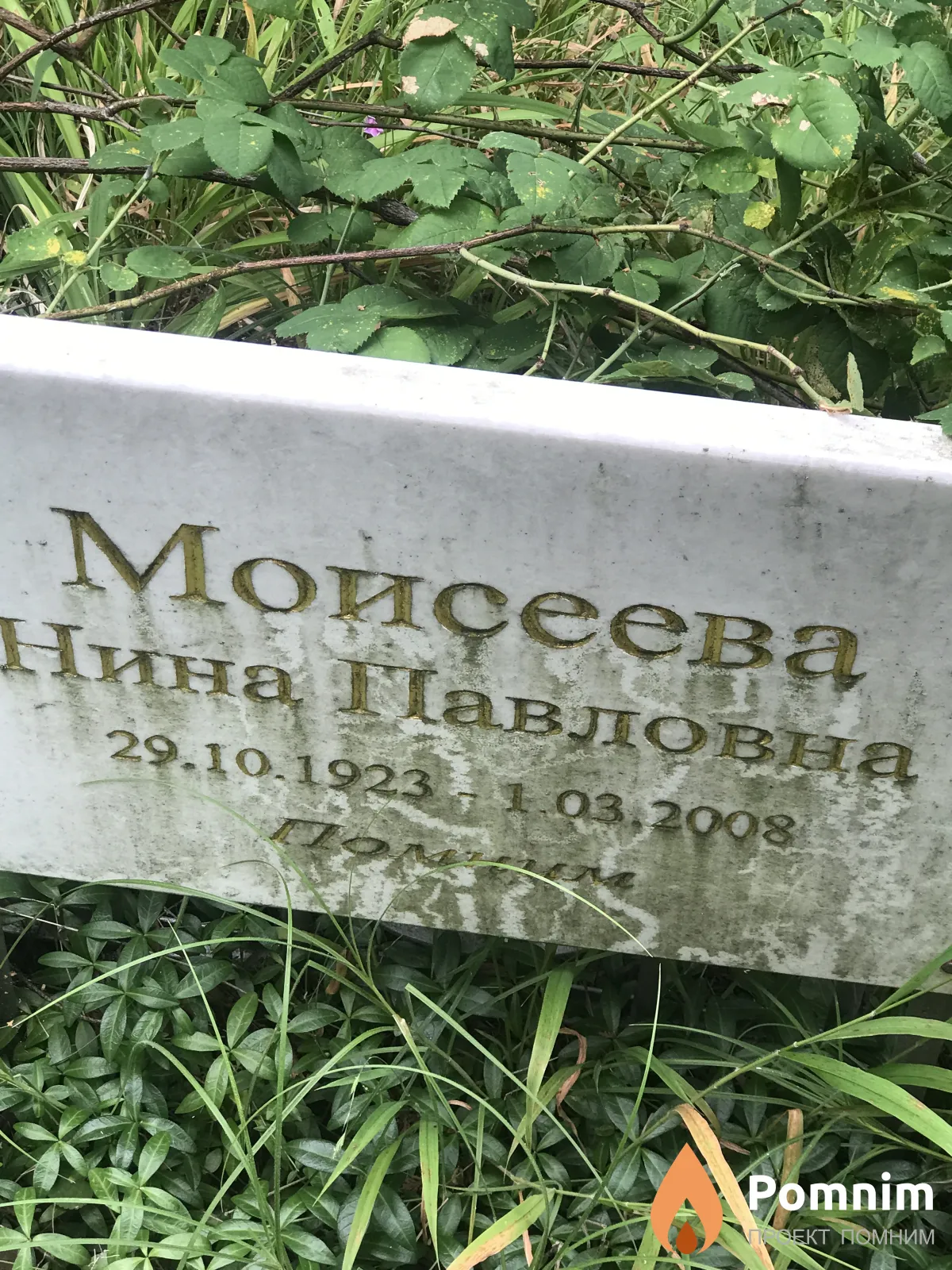 Моисеева Нина Павловна