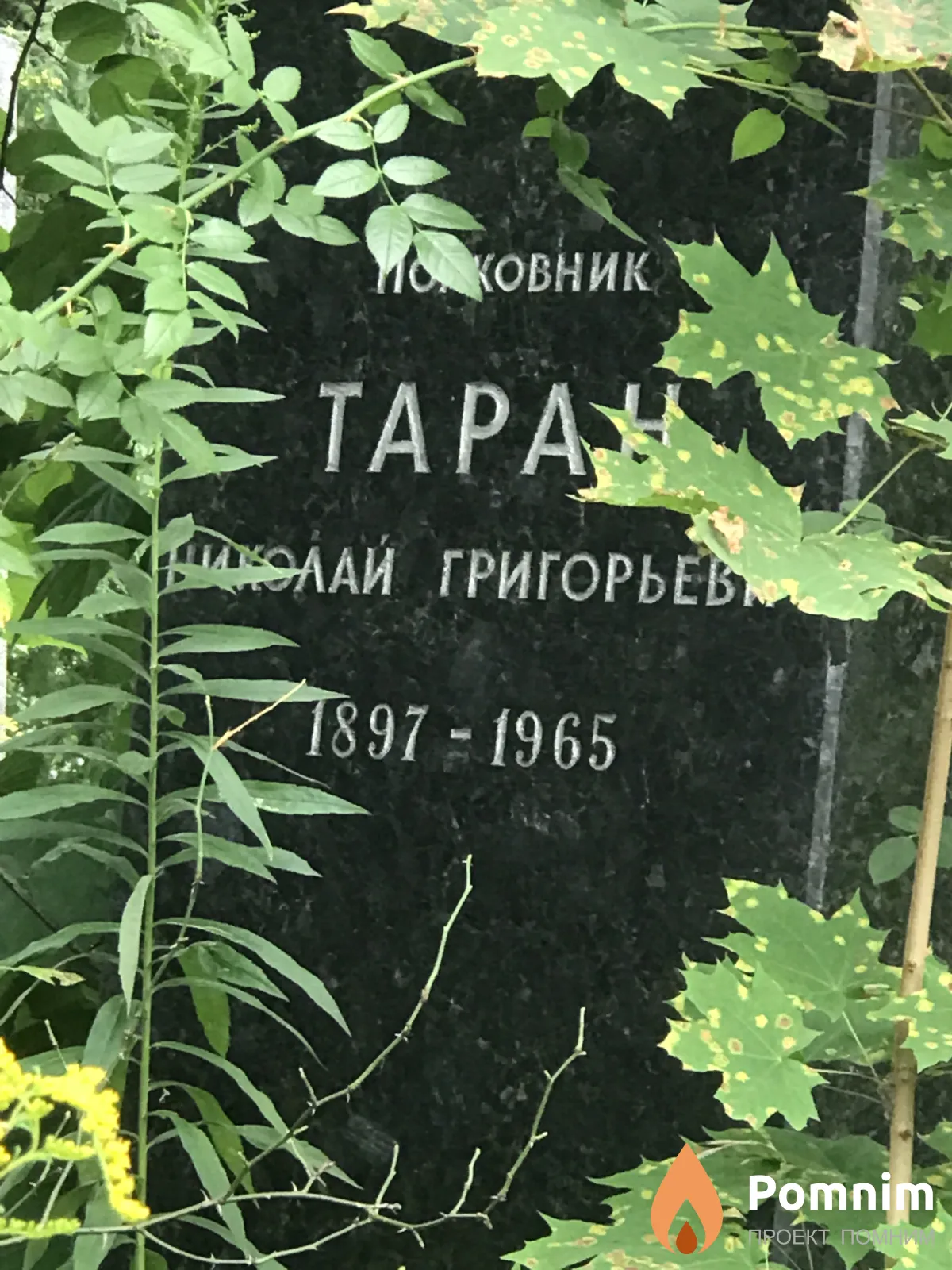 Таран Николай Григорьев