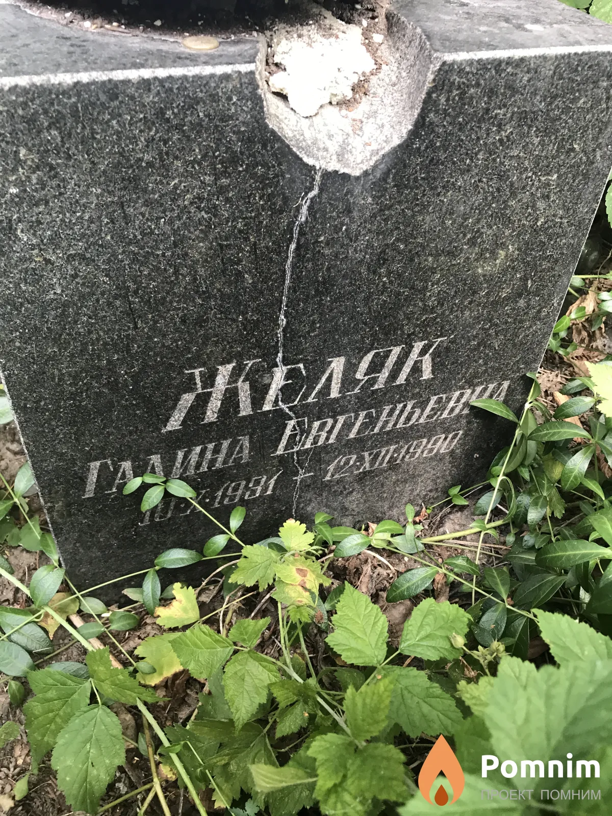 Желяк Галина Евгеньевна