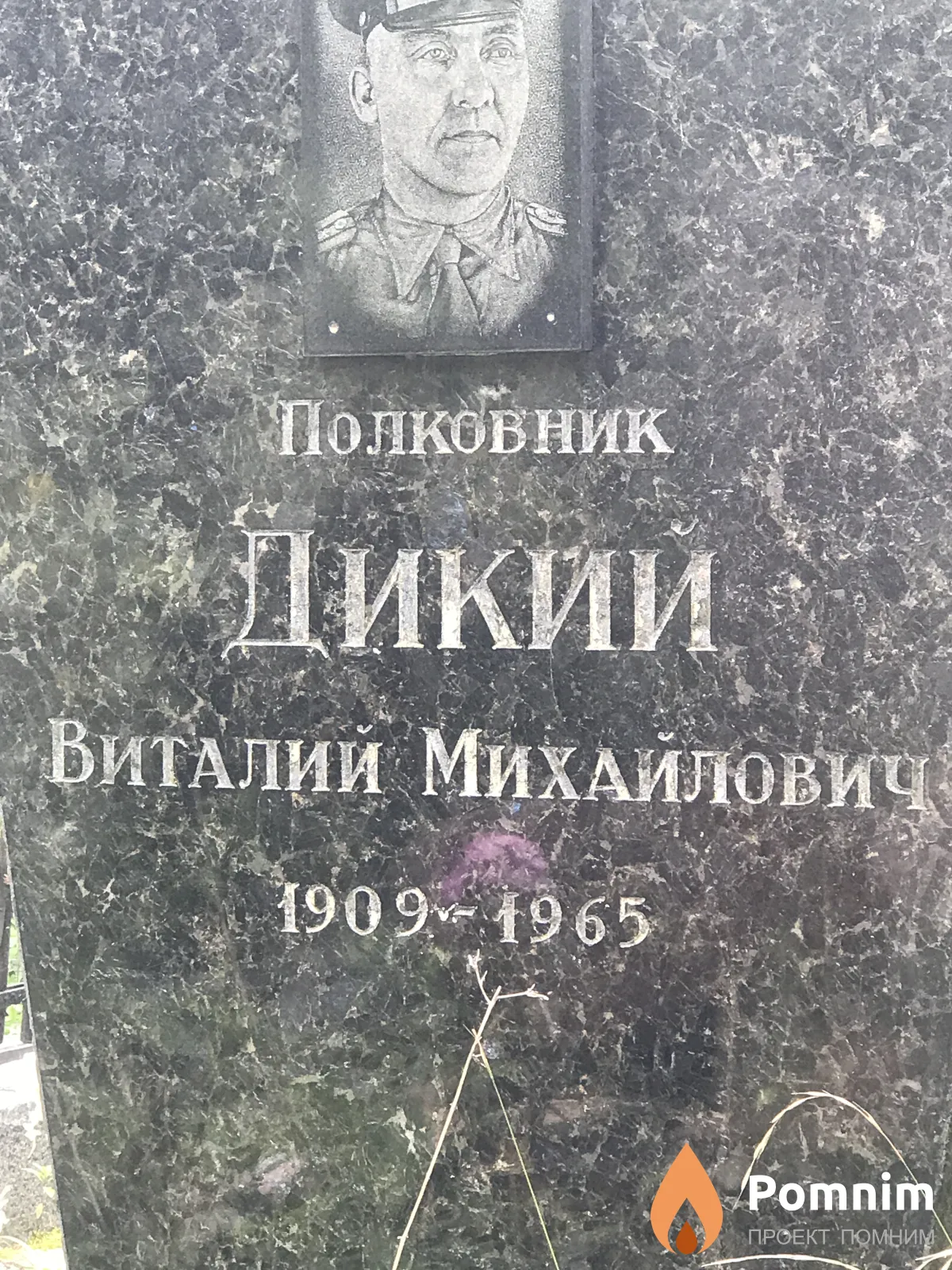 Дикий Виталий Михайлович