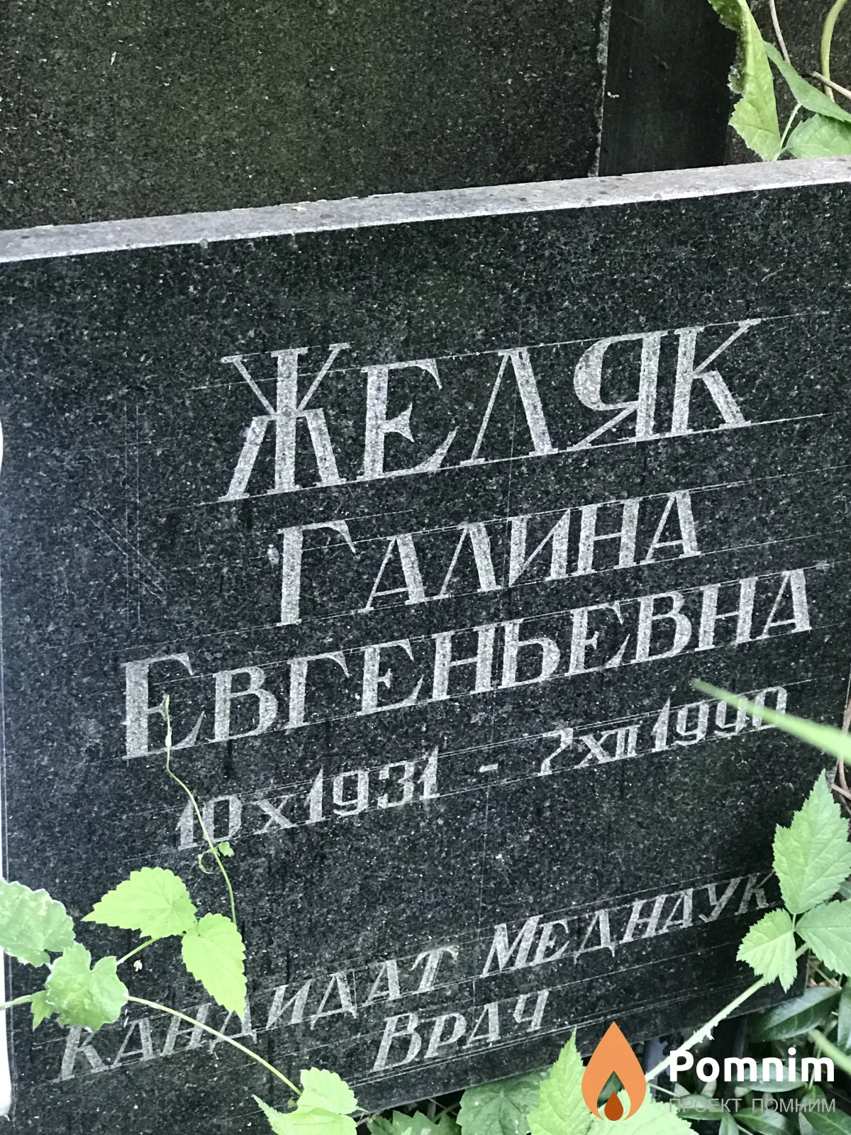 Желяк Галина Евгеньевна