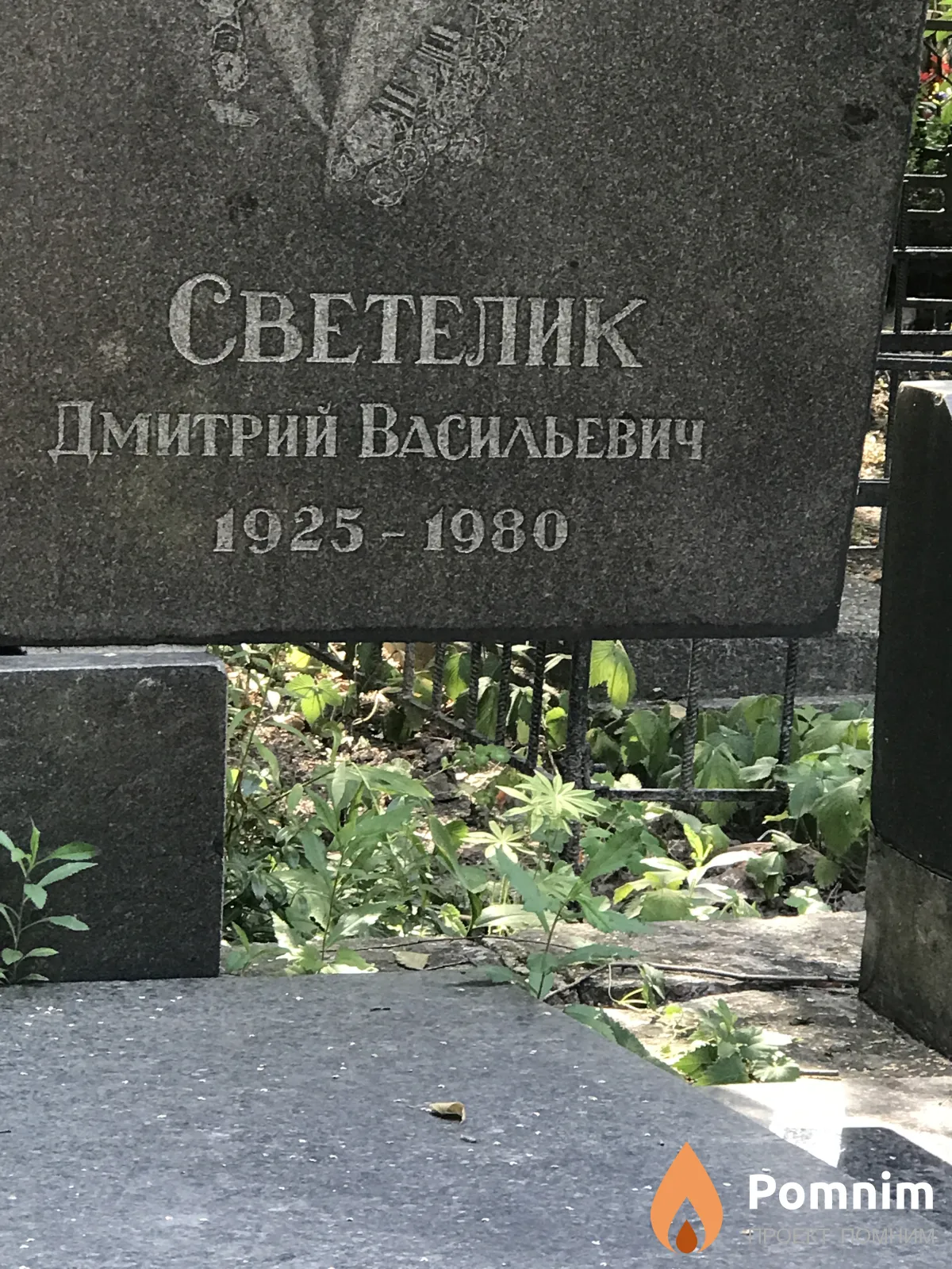 Светелик Дмитрий Васильевич