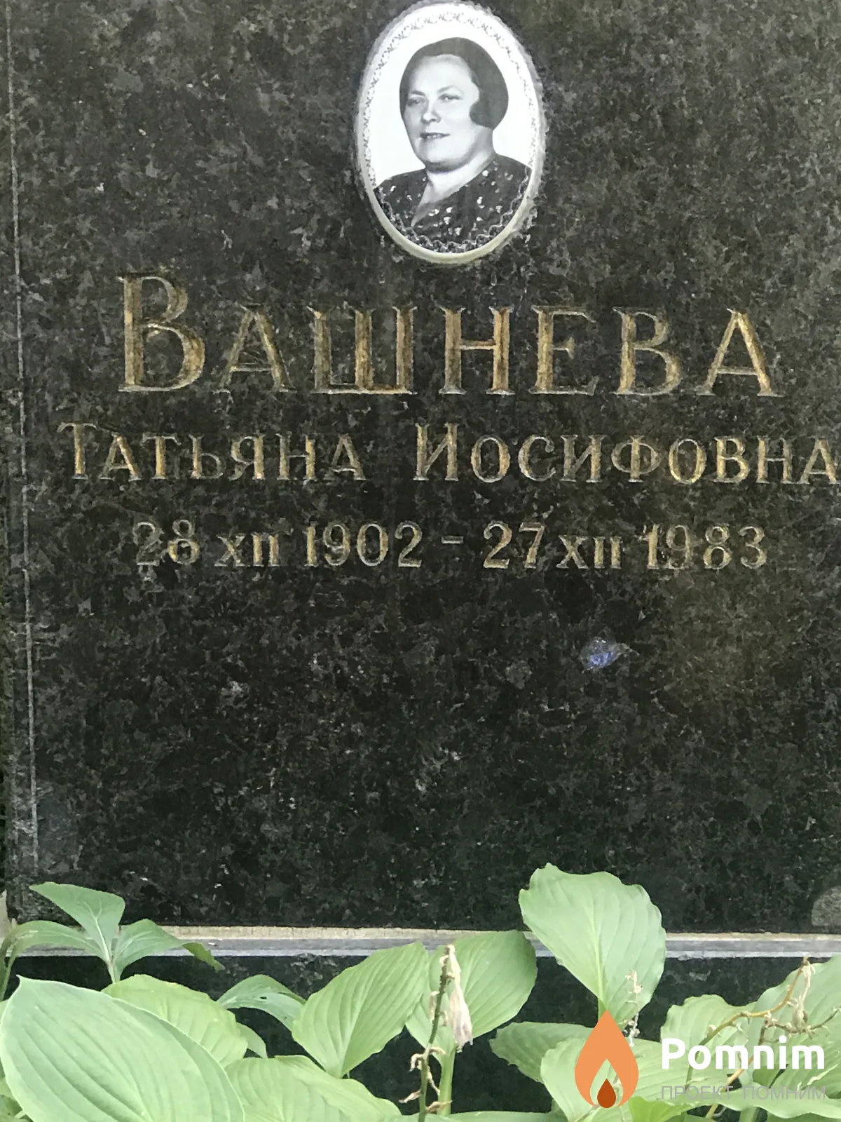 Вашнева Татьяна Иосифовна