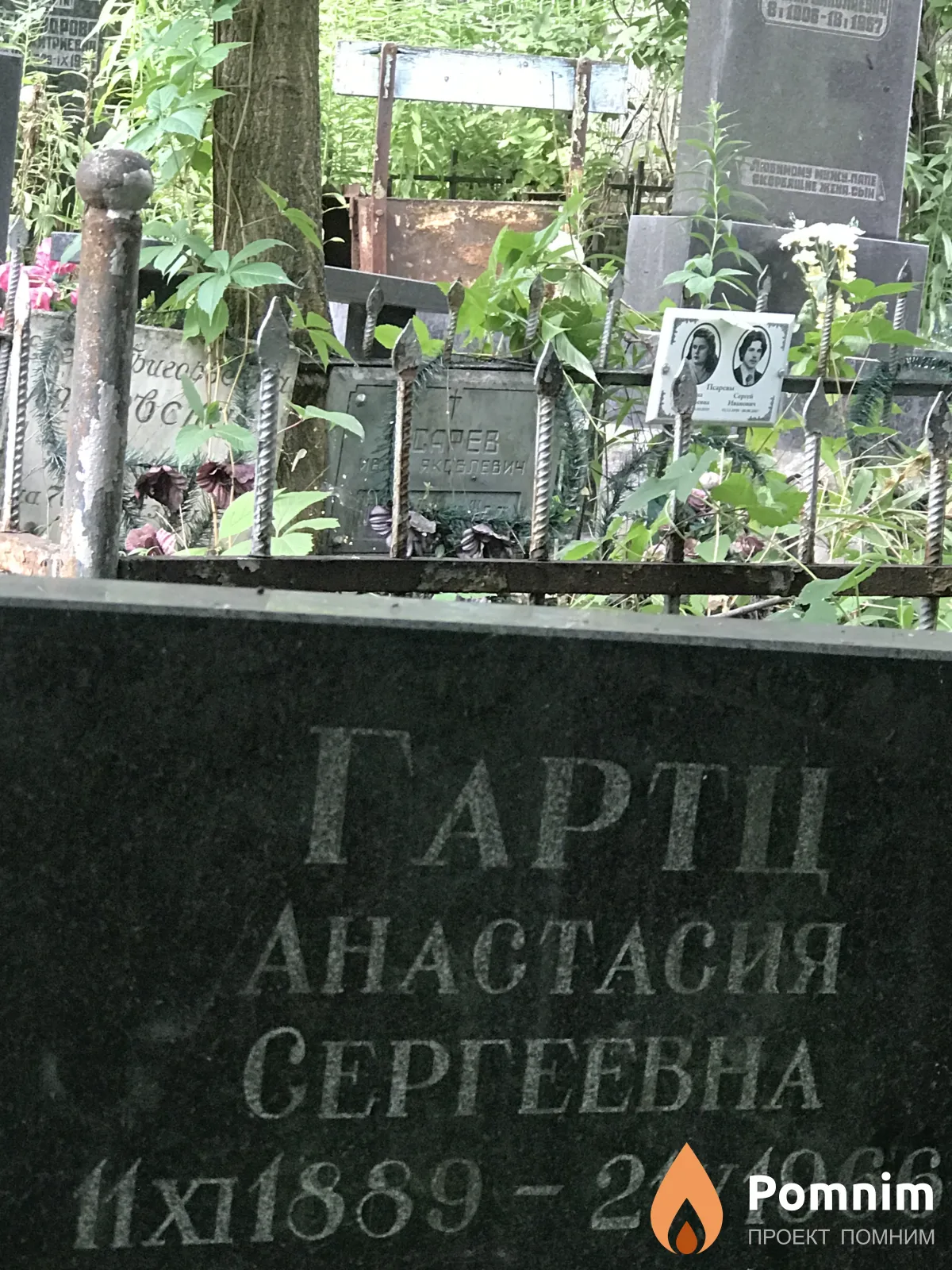 Гартц Анастасия Сергеевна