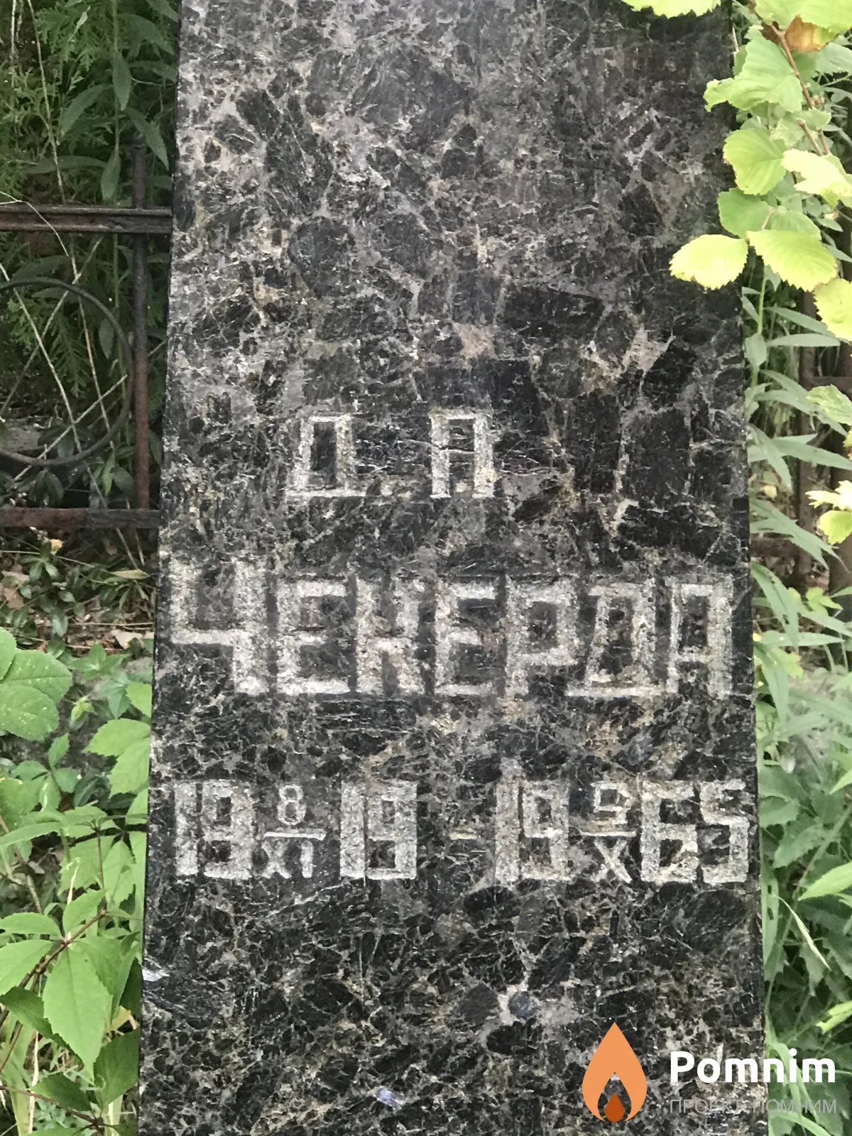 Чекерда Д П