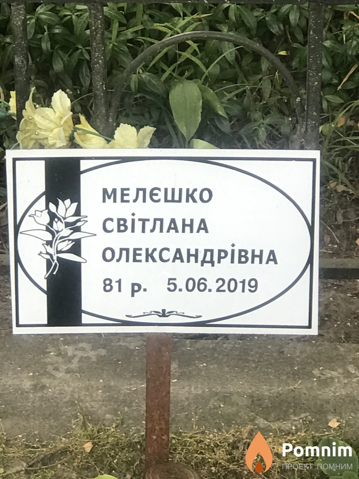 Мелешко Светлана Александровна