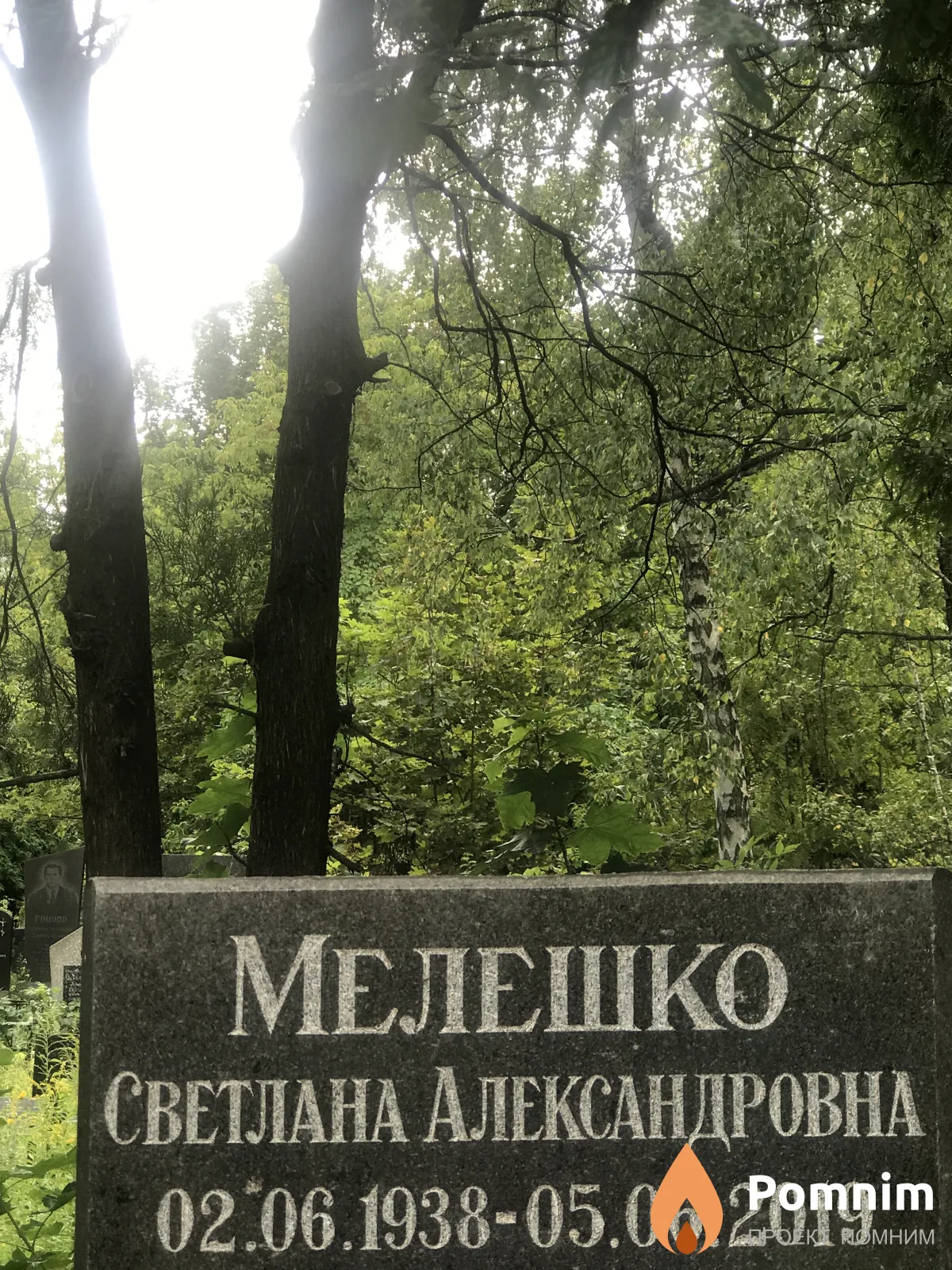 Мелешко Светлана Александровна
