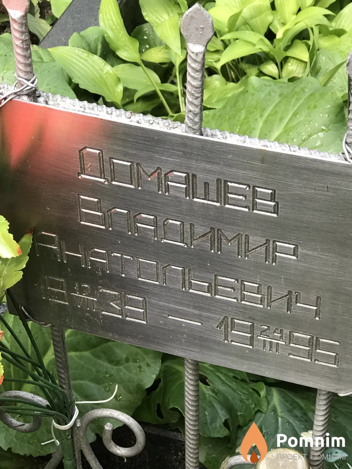 Домашев Владимир Анатольевич