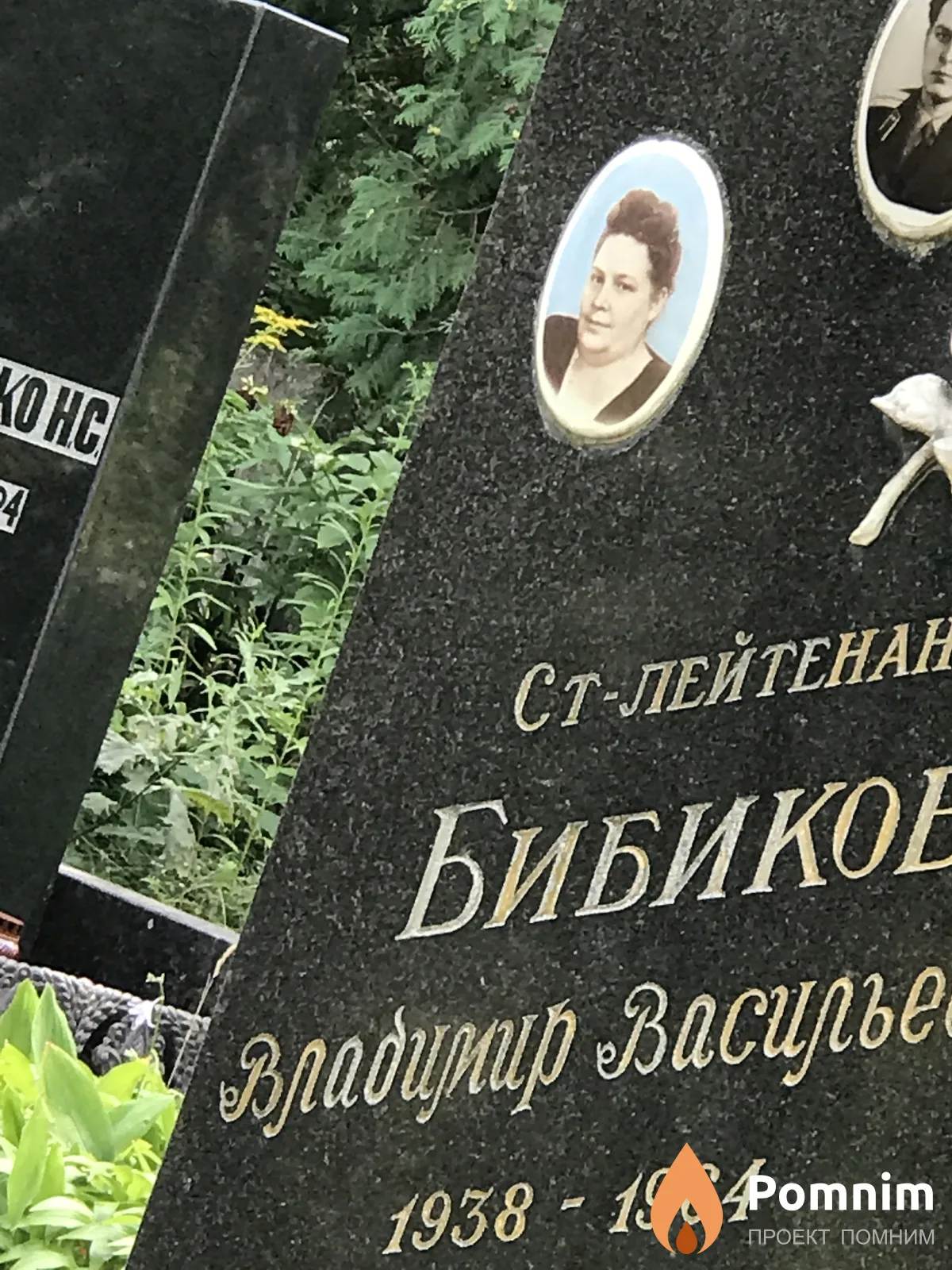 Бибиков Владимир Васильевич