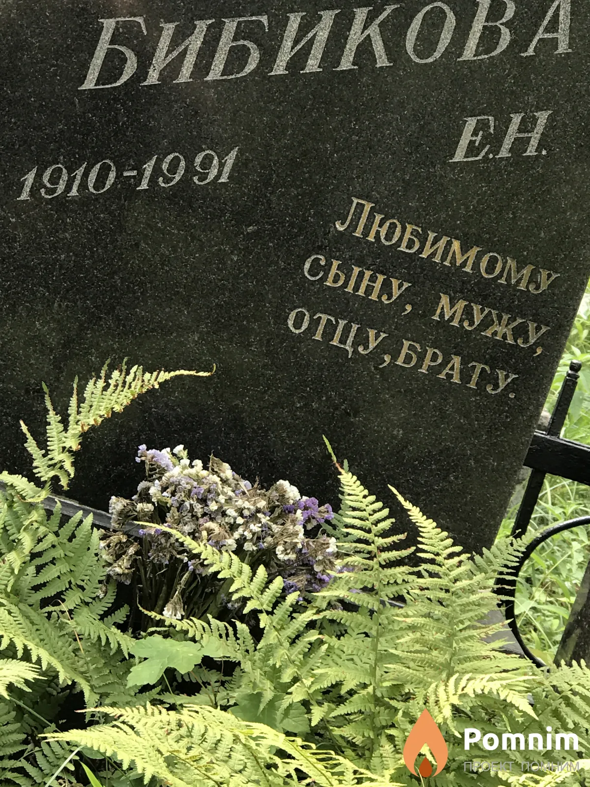 Бибикова Е Н