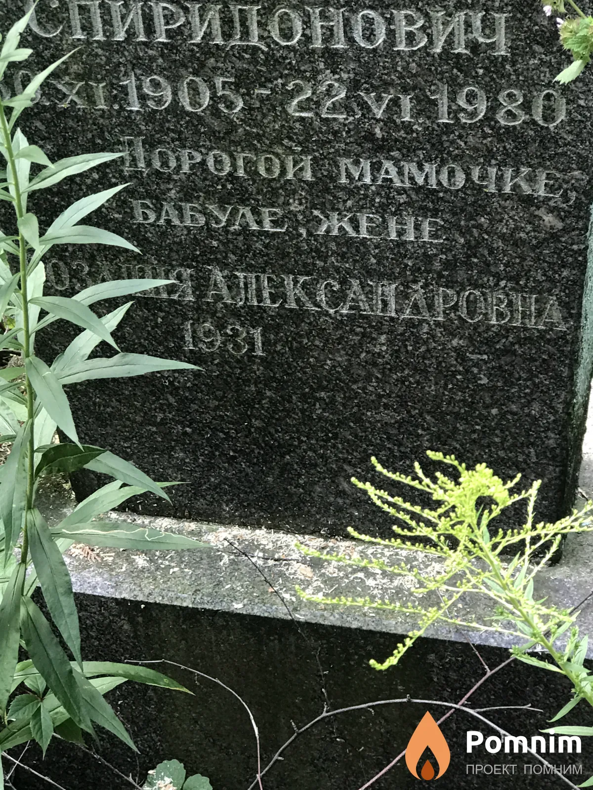 Спиридонович Александр