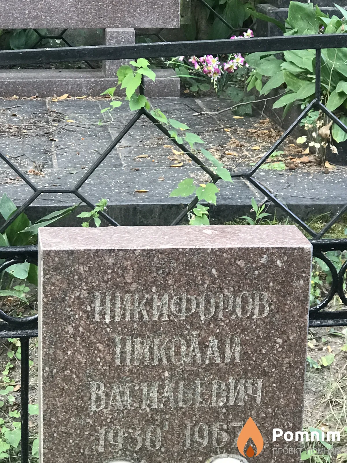 Никифоров Николай Васильевич
