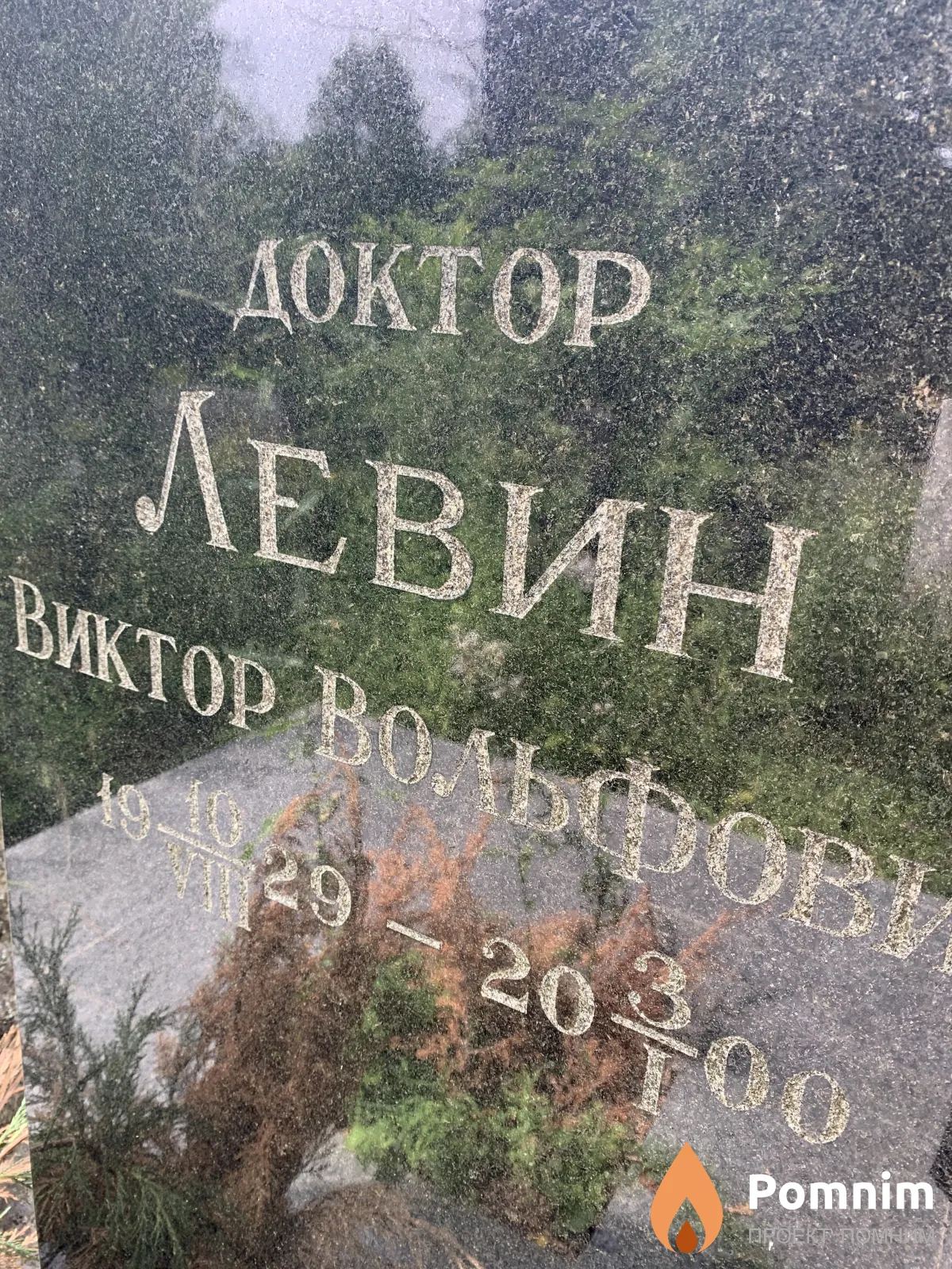Левин Виктор Вольфович