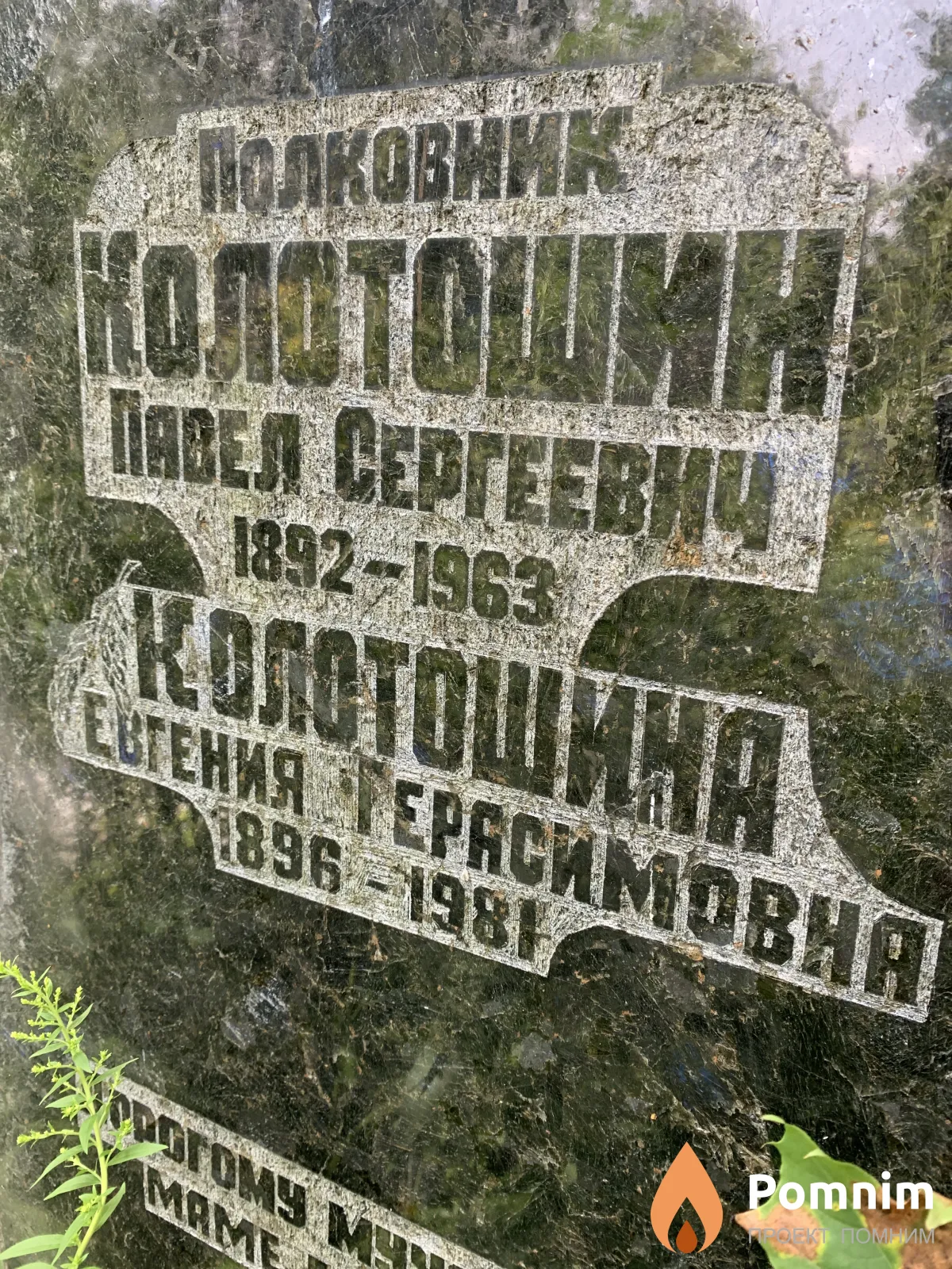 Колотошина Евгения Герасимовна