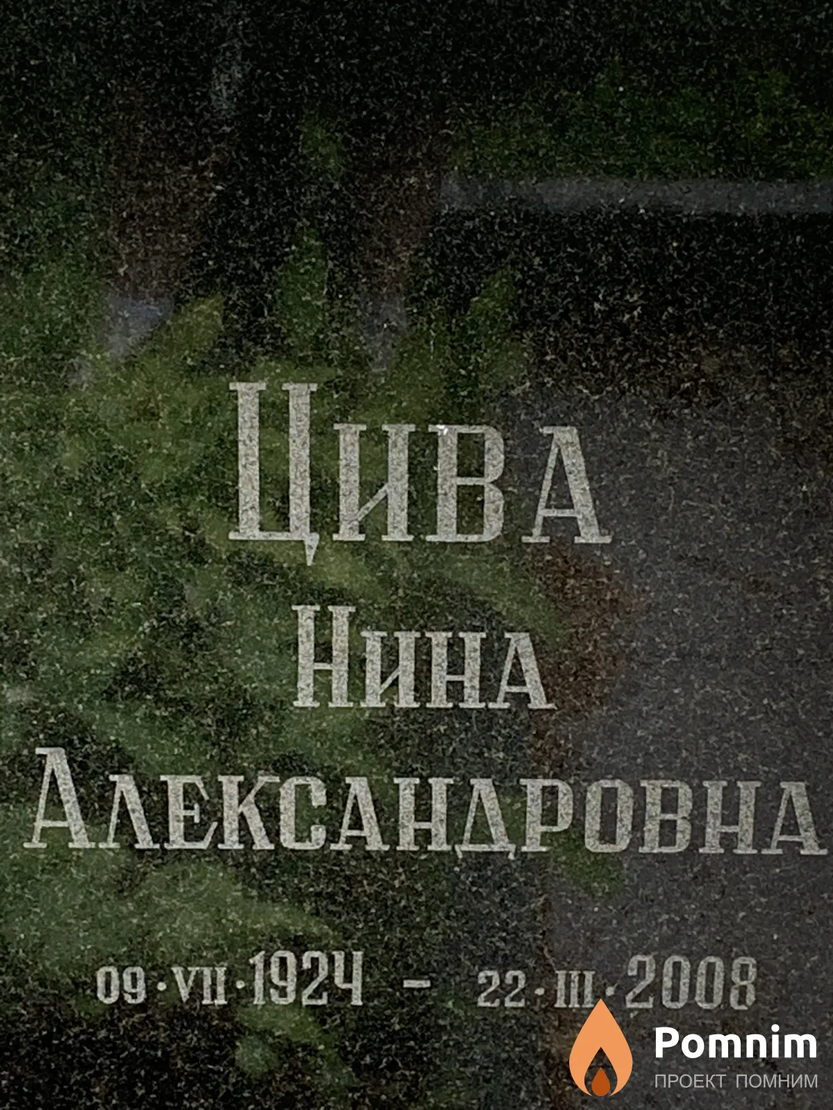 Цива Нина Александровна