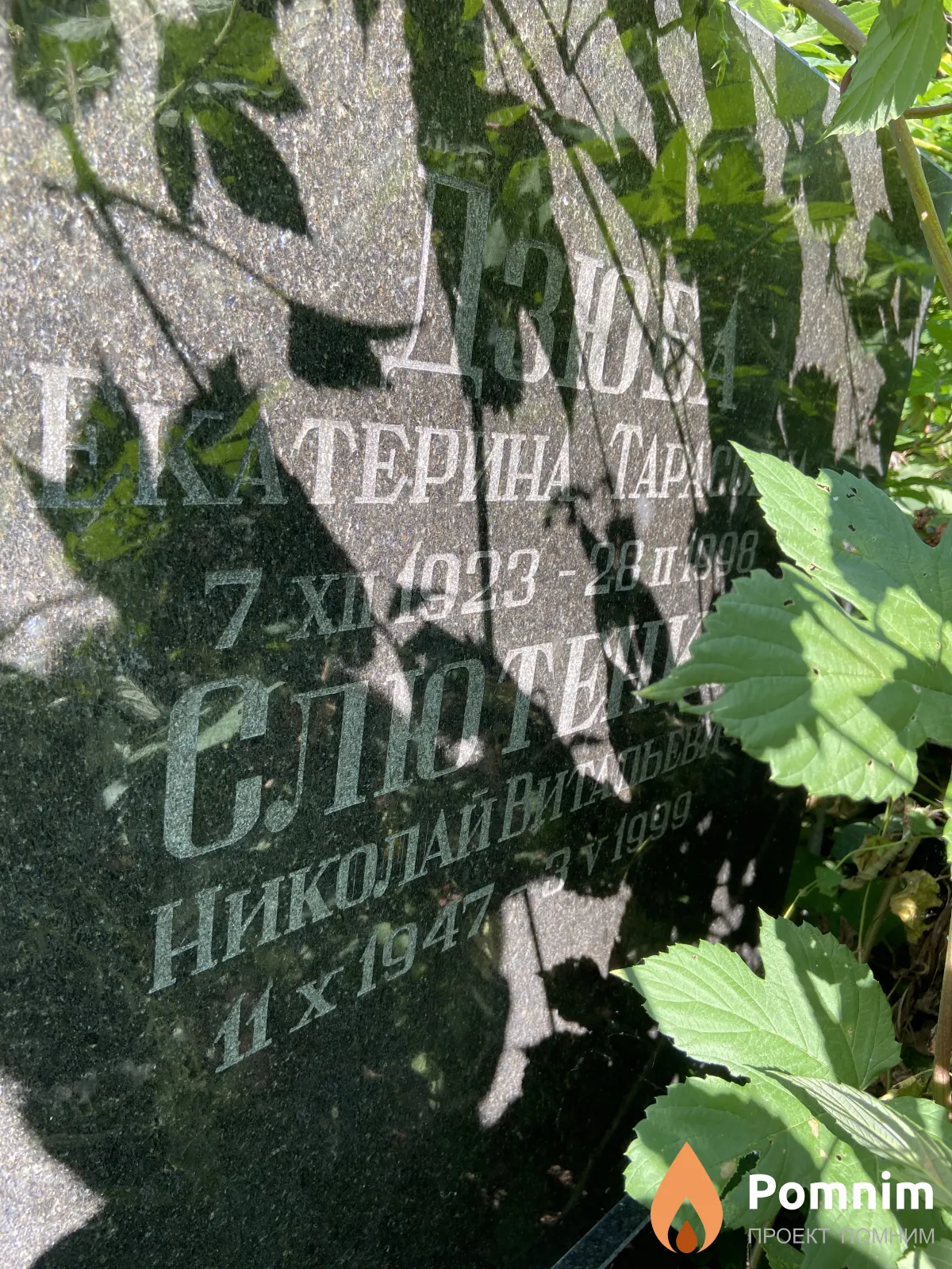 Дзюба Екатерина Тарасовна