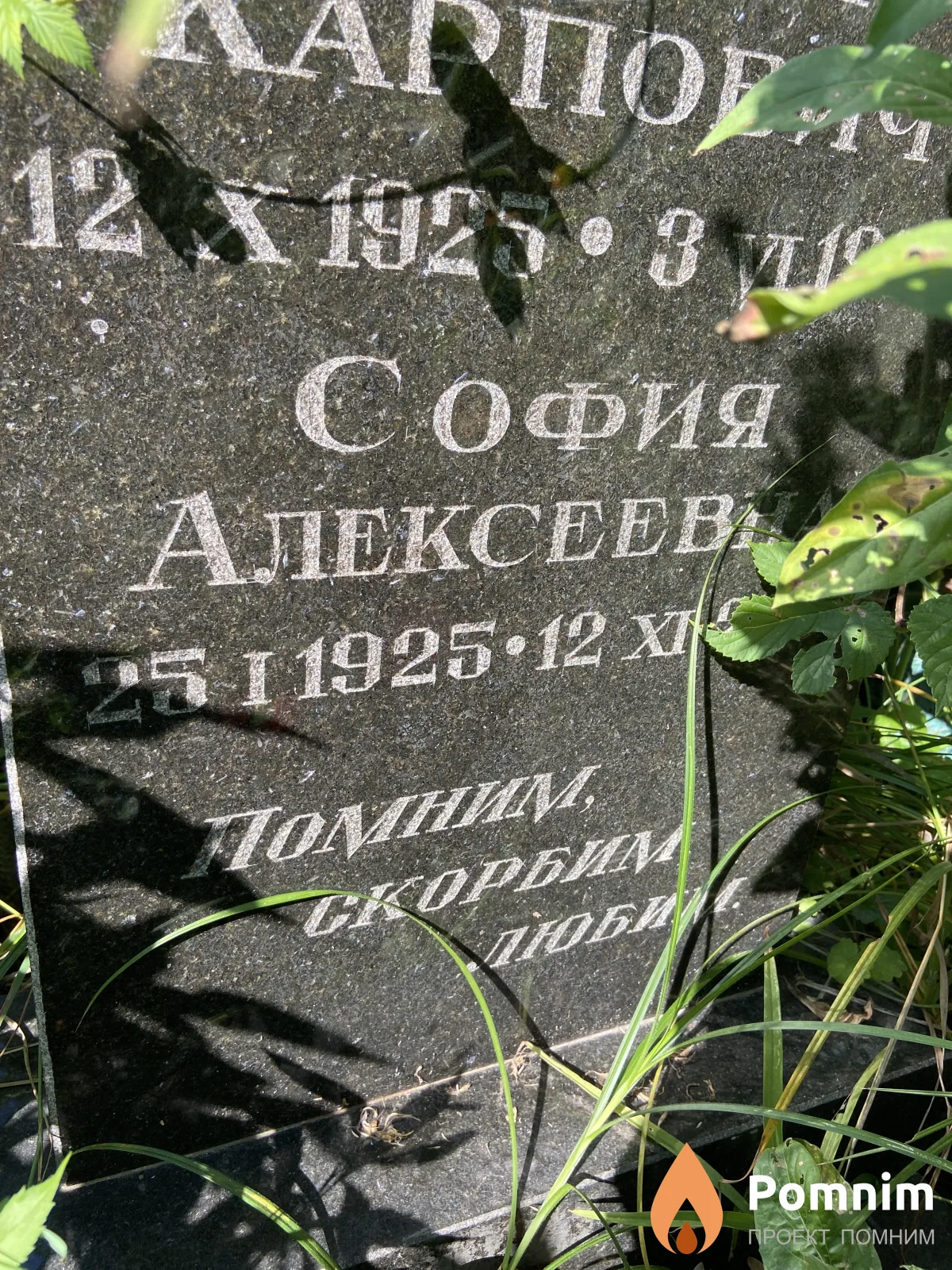 Чухлич София Александровна